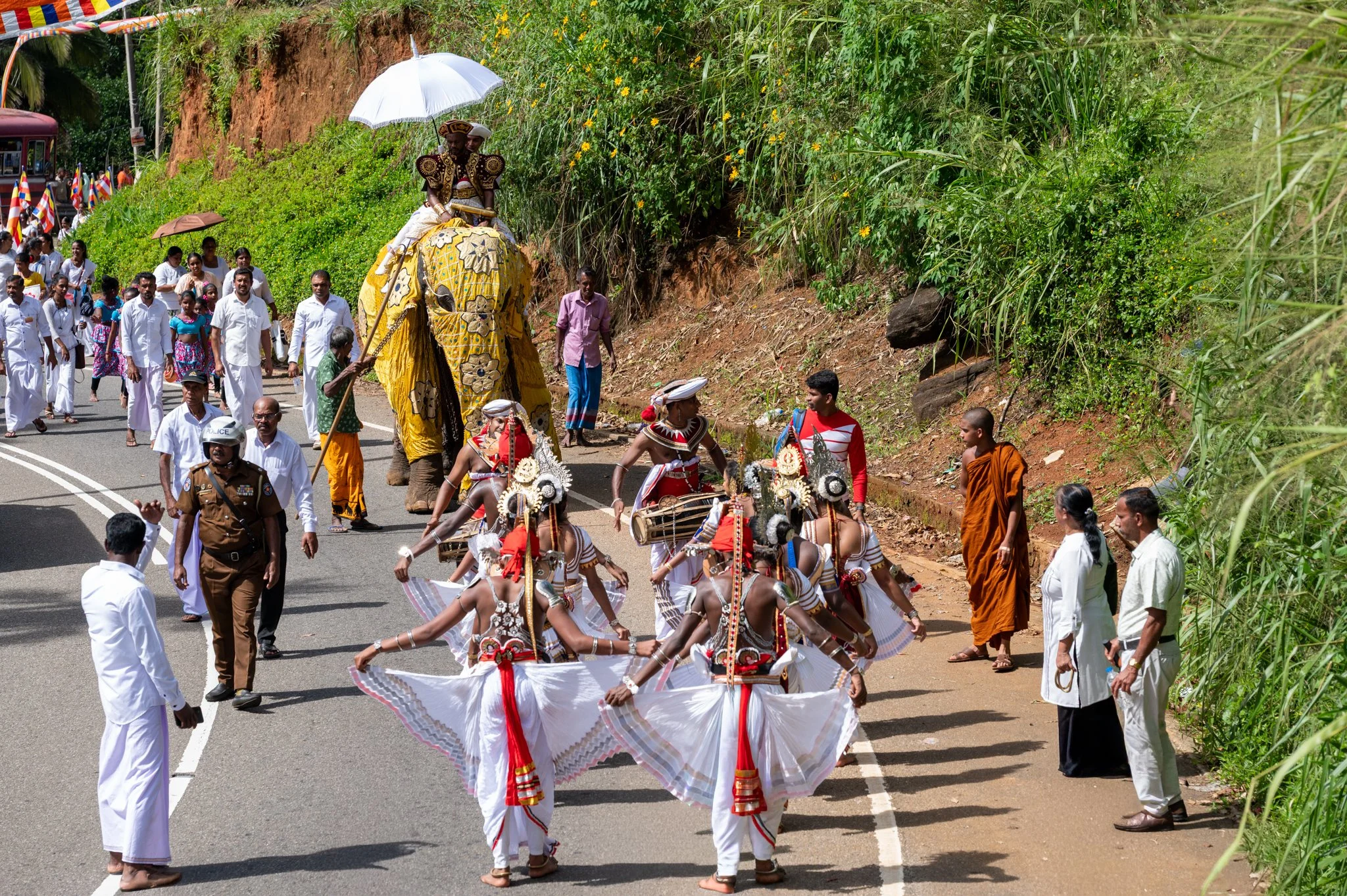 Sri Lanka_Kandy and Hill Country_copyright Buddha34-141.jpg