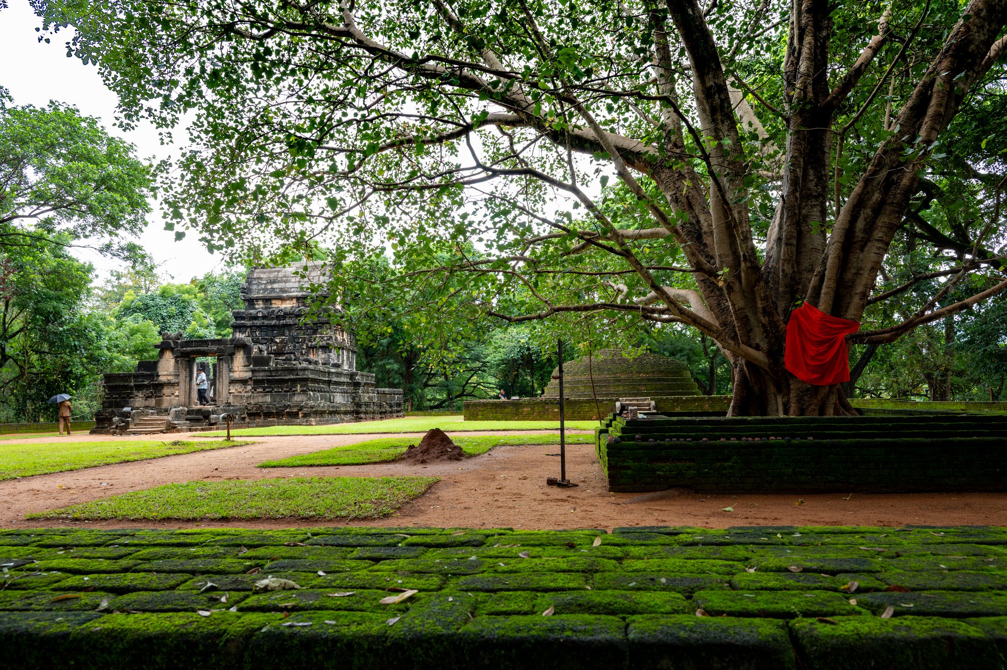 Sri Lanka_Cultural Triangle_copyright Buddha34-90.jpg