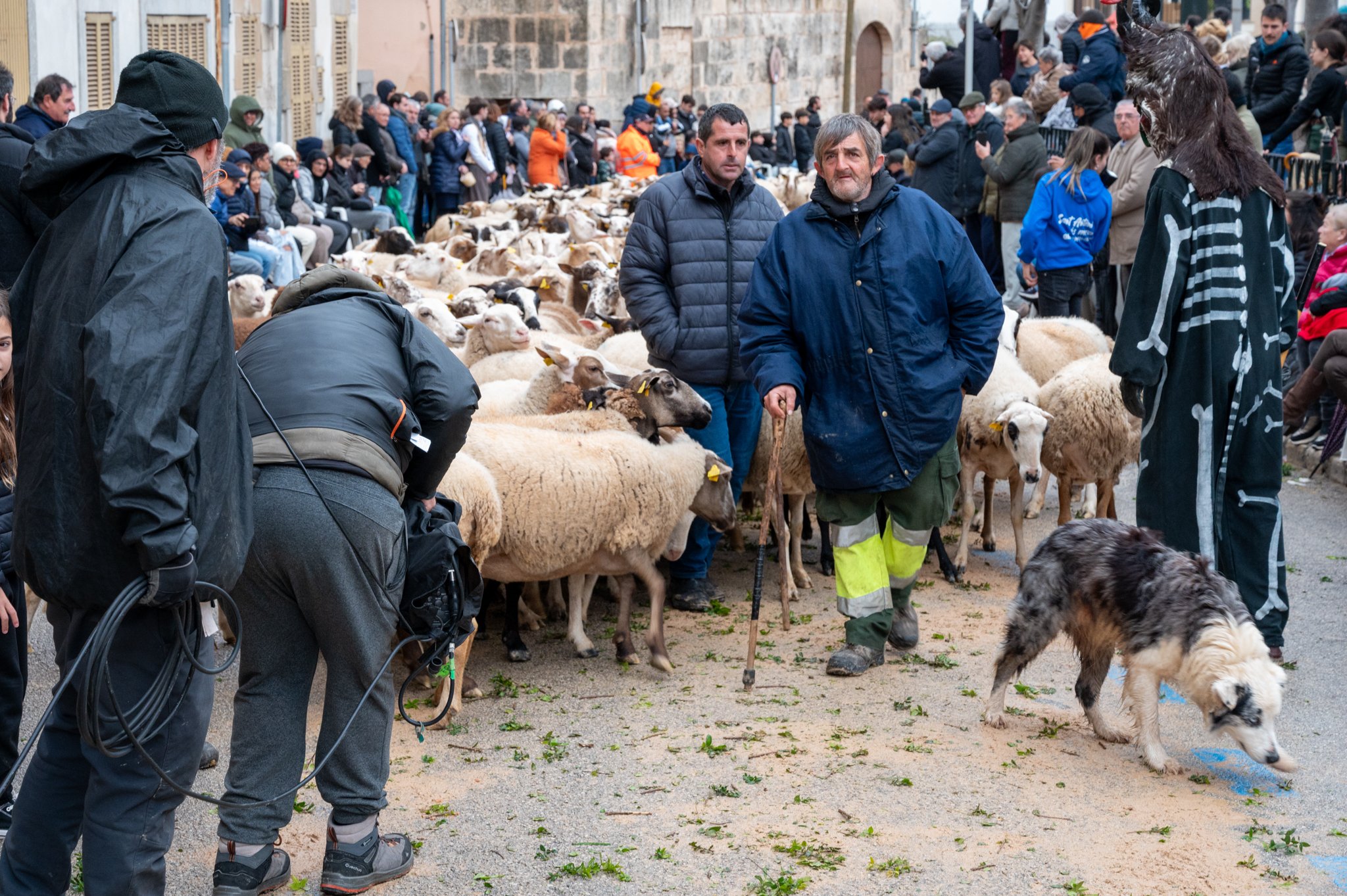 Mallorca - Sant Antoni Animal Blessing & Devils-45.jpg