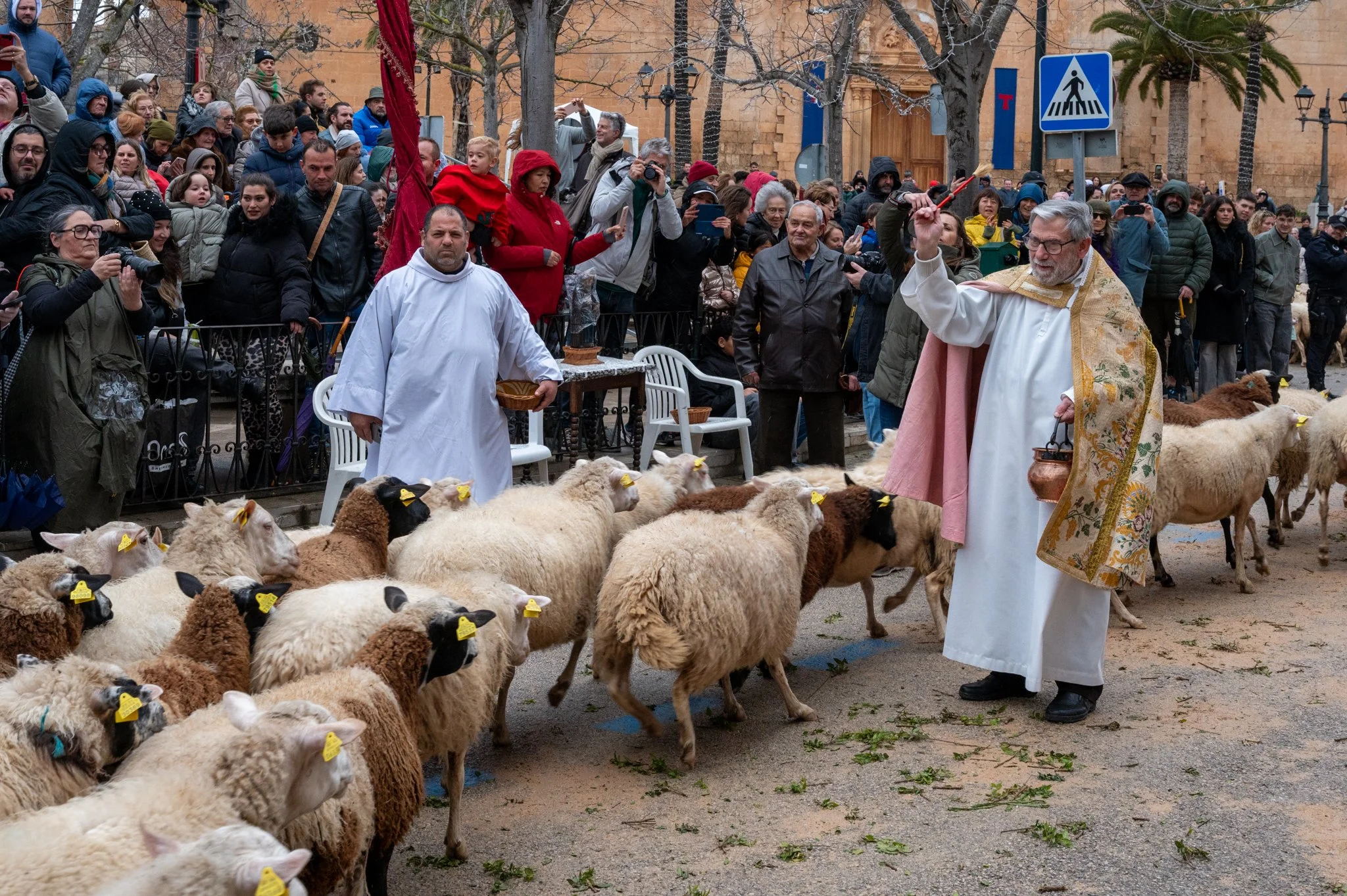 Mallorca - Sant Antoni Animal Blessing & Devils-39.jpg