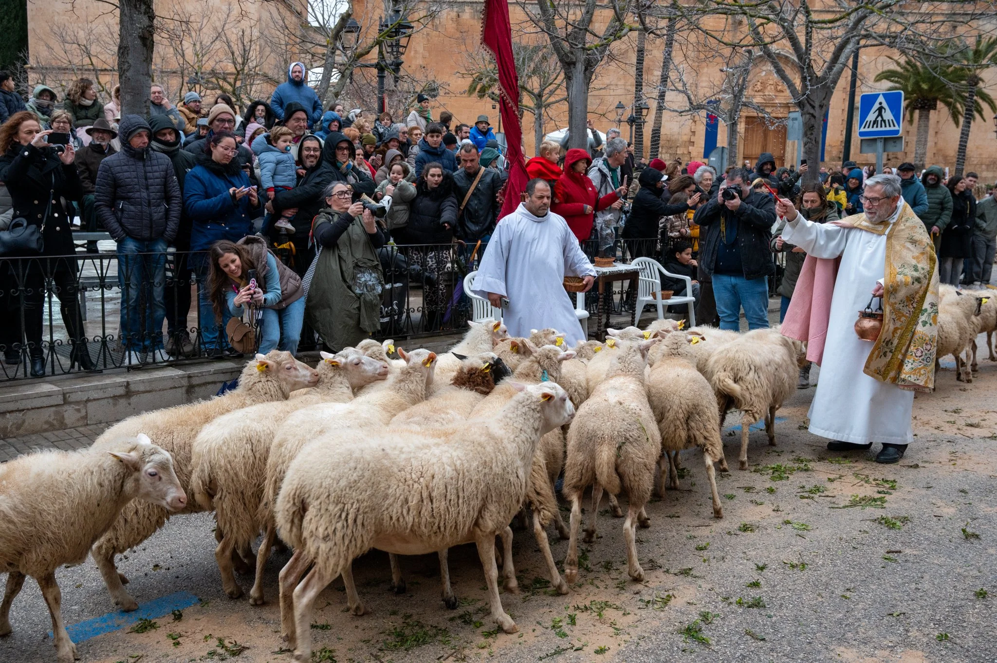 Mallorca - Sant Antoni Animal Blessing & Devils-42.jpg