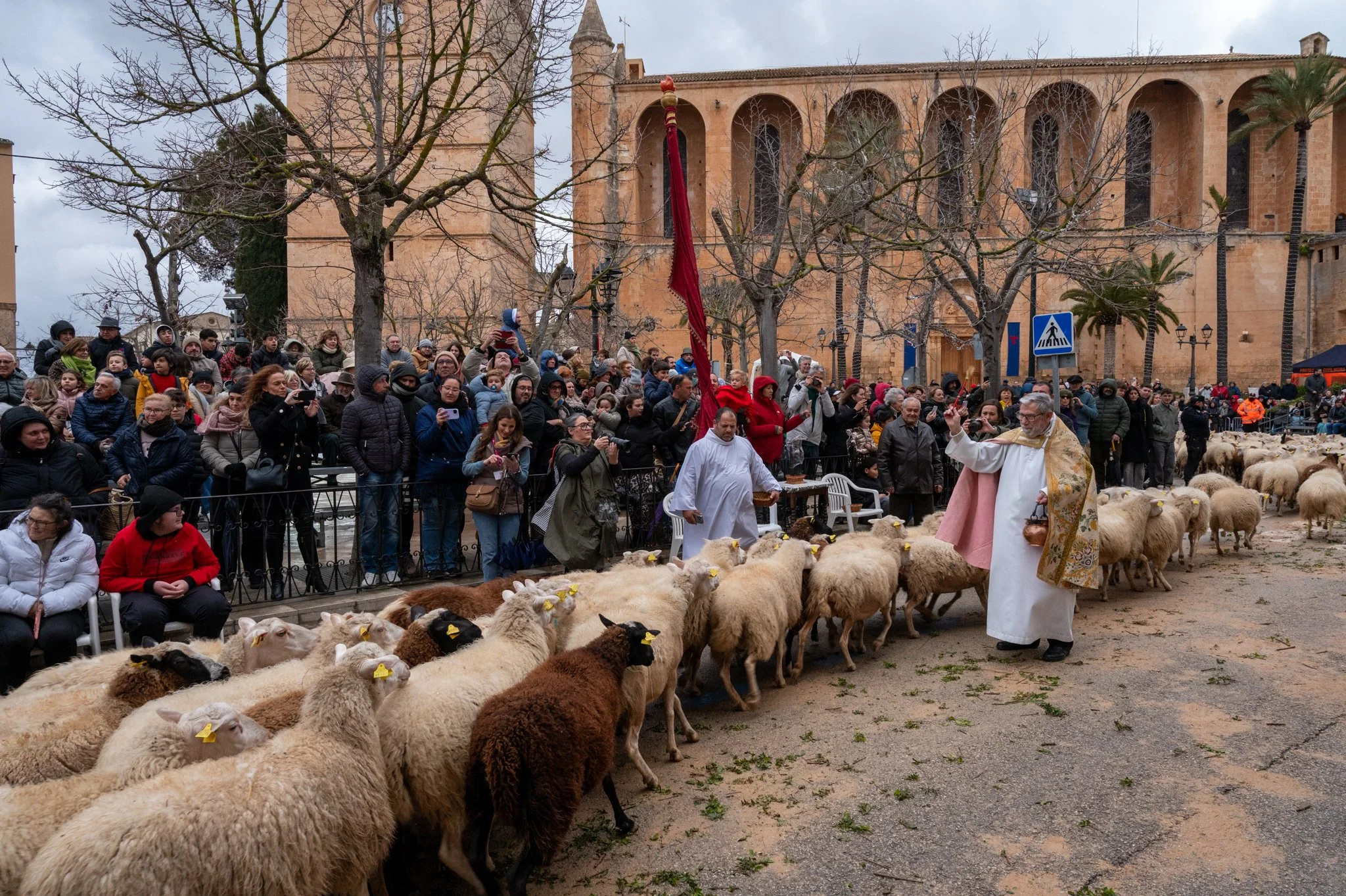 Mallorca - Sant Antoni Animal Blessing & Devils-38.jpg