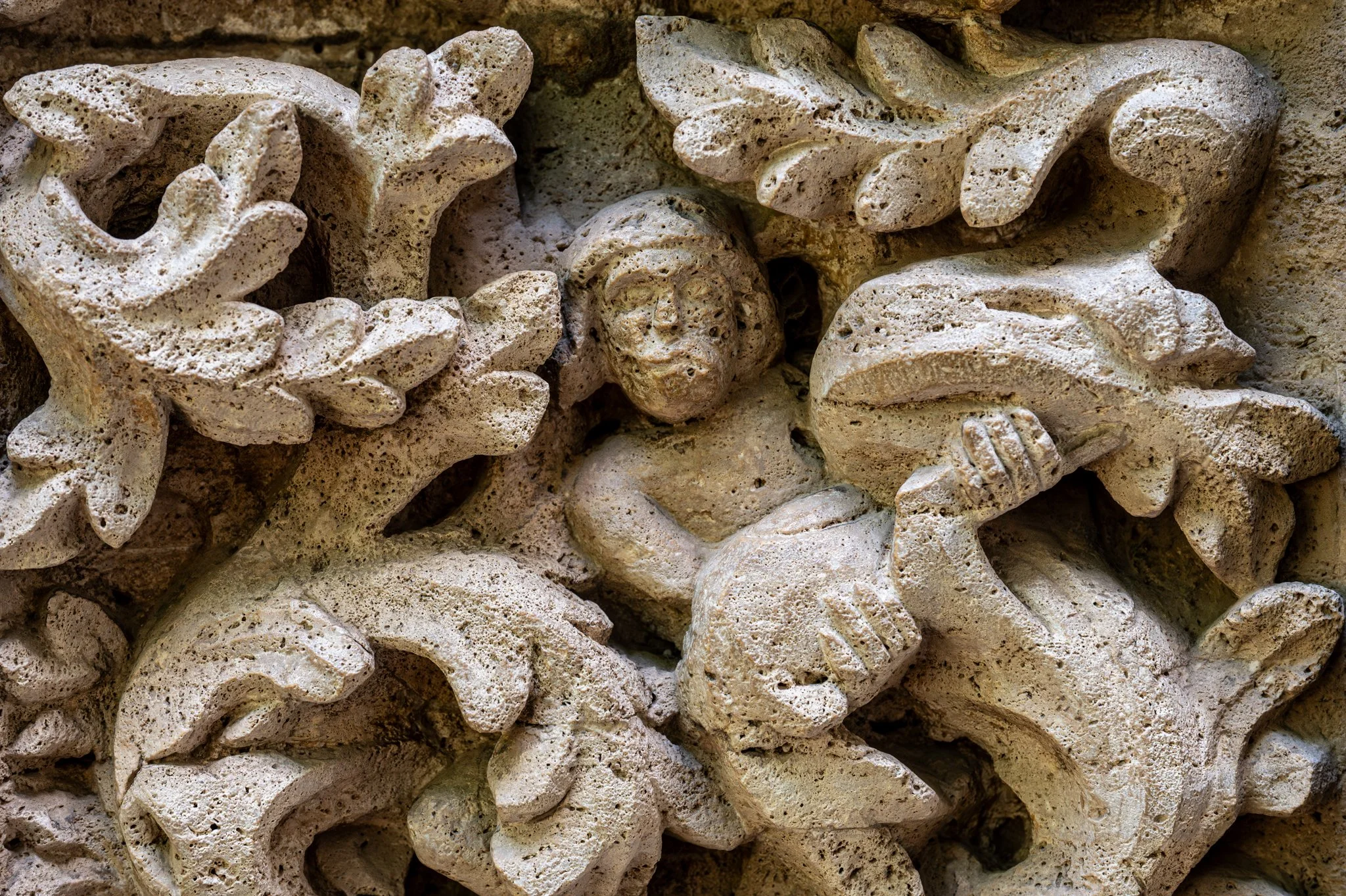 Valencia_Old Town 2026_copyright buddha34-100.jpg