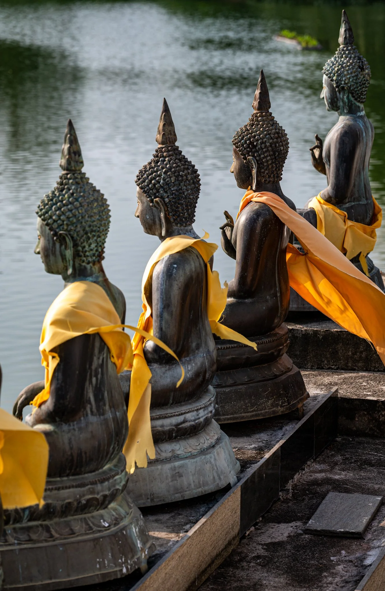 Sri Lanka_Colombo Area_copyright Buddha34-10.jpg