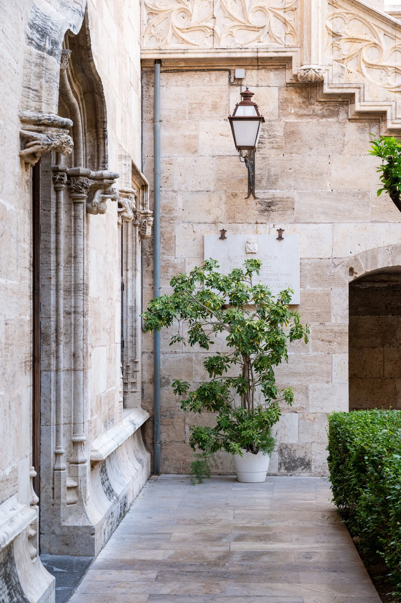 Valencia_Old Town 2026_copyright buddha34-102.jpg