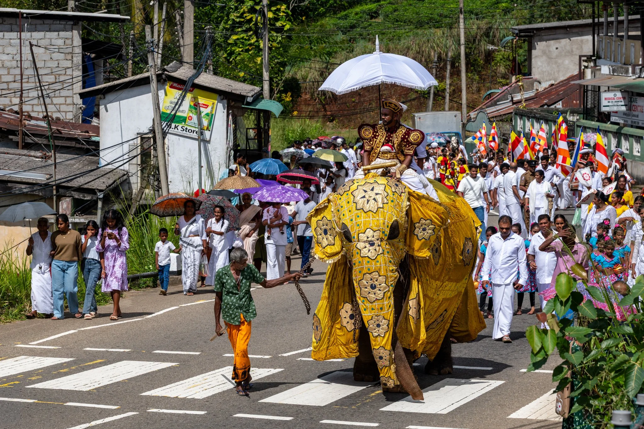Sri Lanka_Kandy and Hill Country_copyright Buddha34-149.jpg