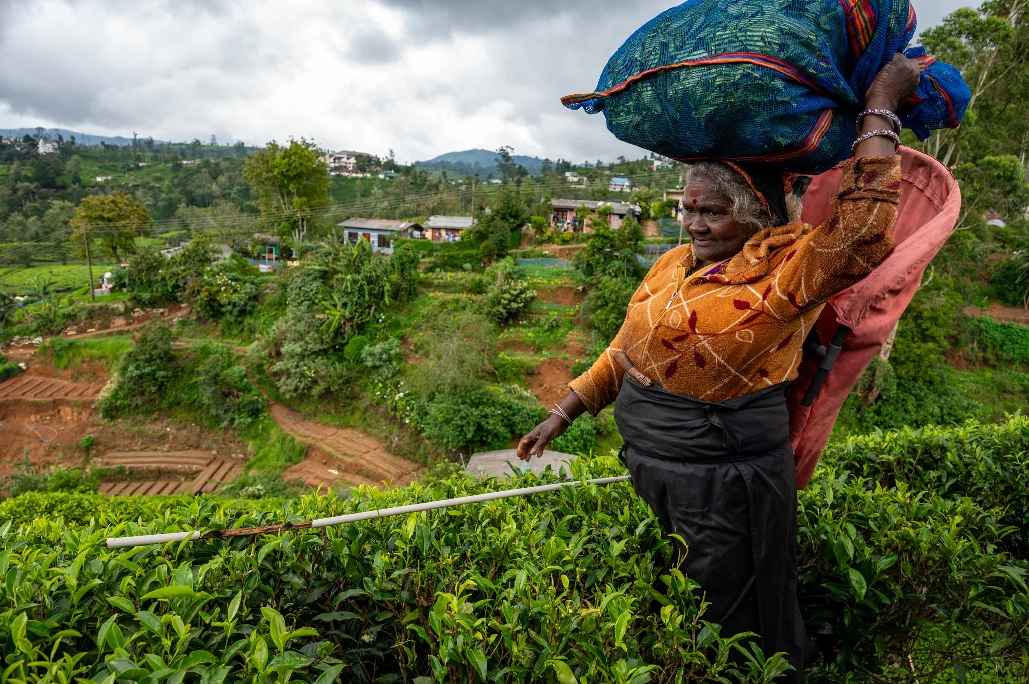 Sri Lanka_Kandy and Hill Country_copyright Buddha34-179.jpg