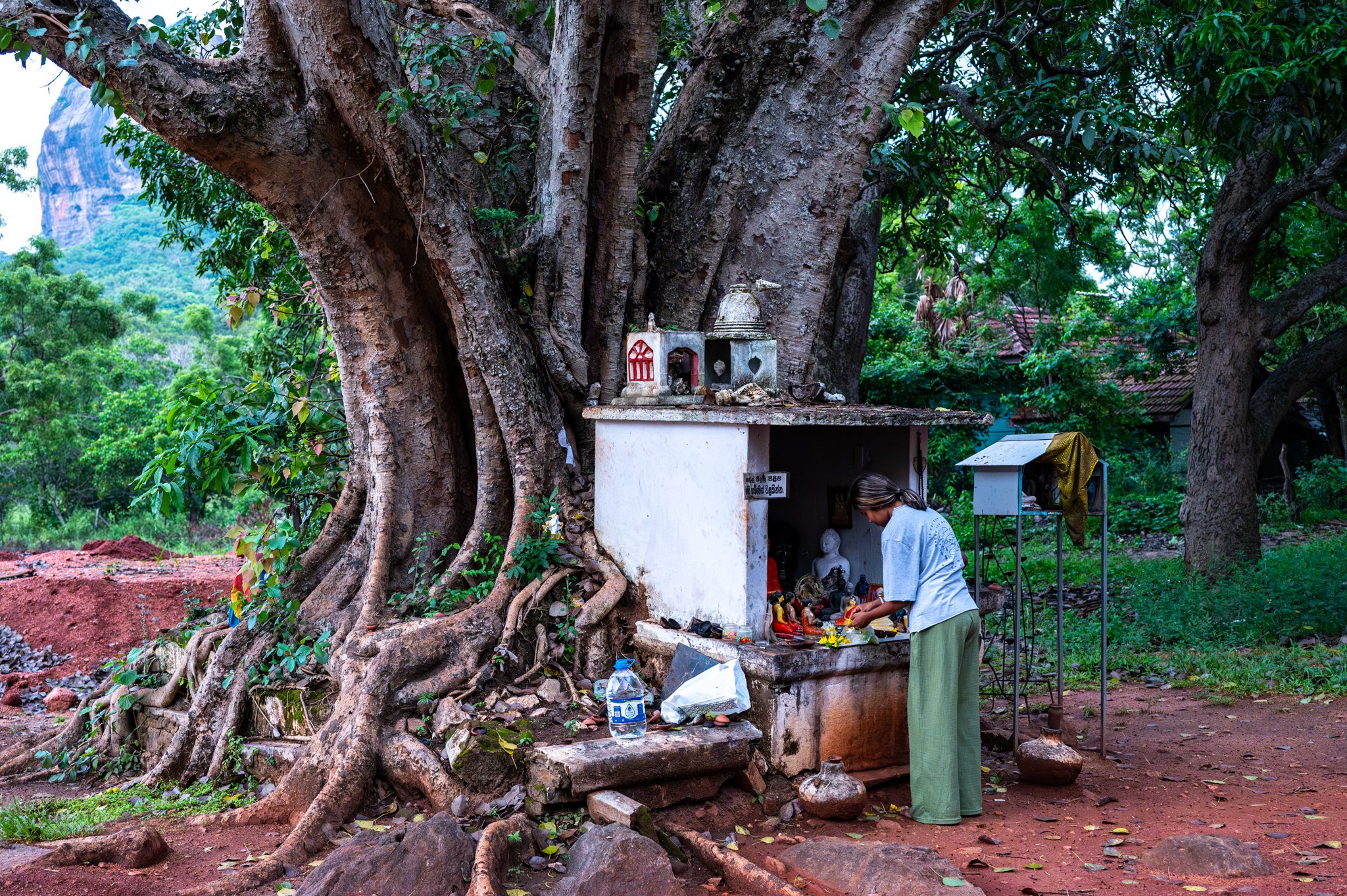 Sri Lanka_Cultural Triangle_copyright Buddha34-03.jpg