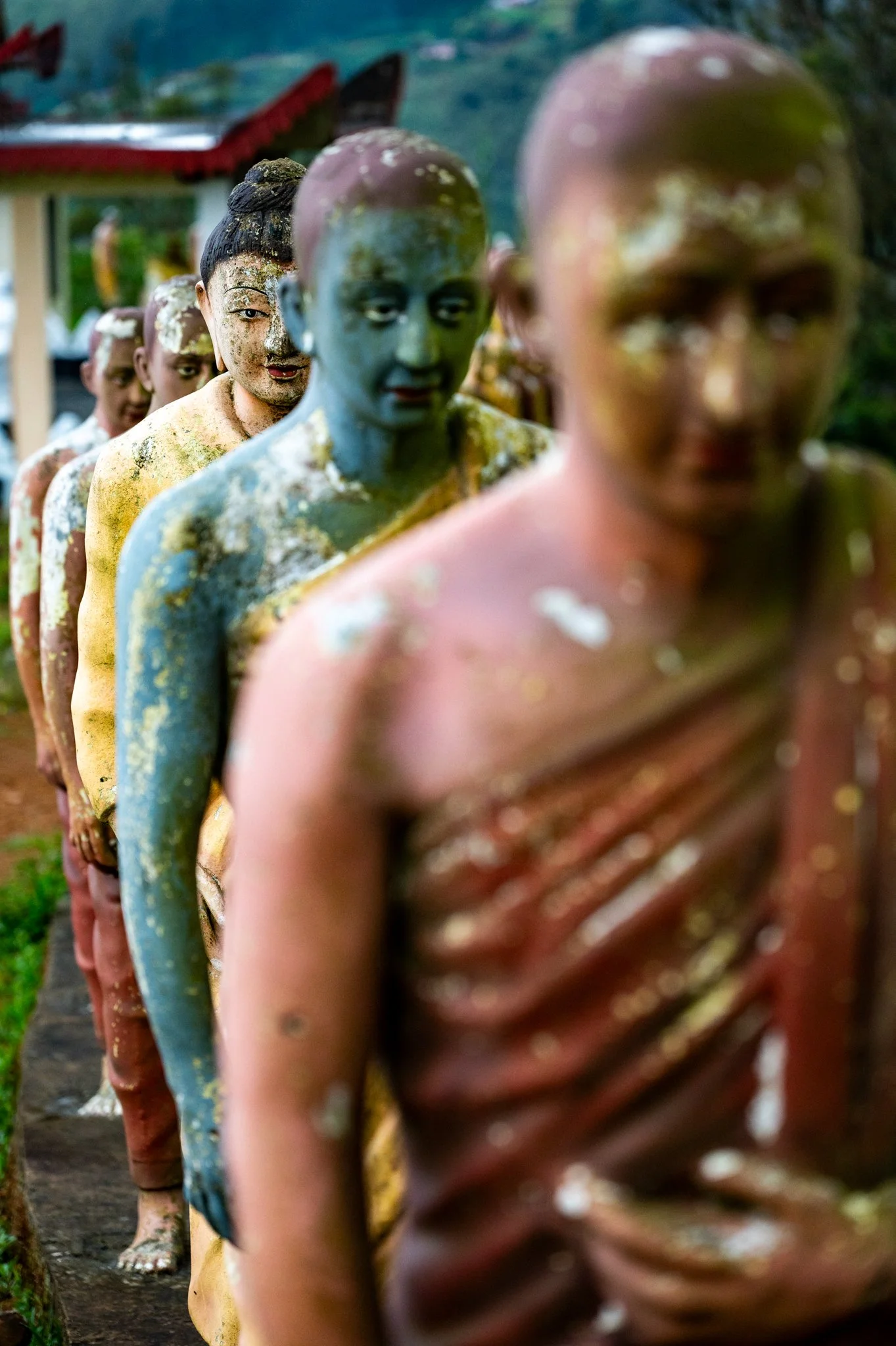 Sri Lanka_Kandy and Hill Country_copyright Buddha34-193.jpg