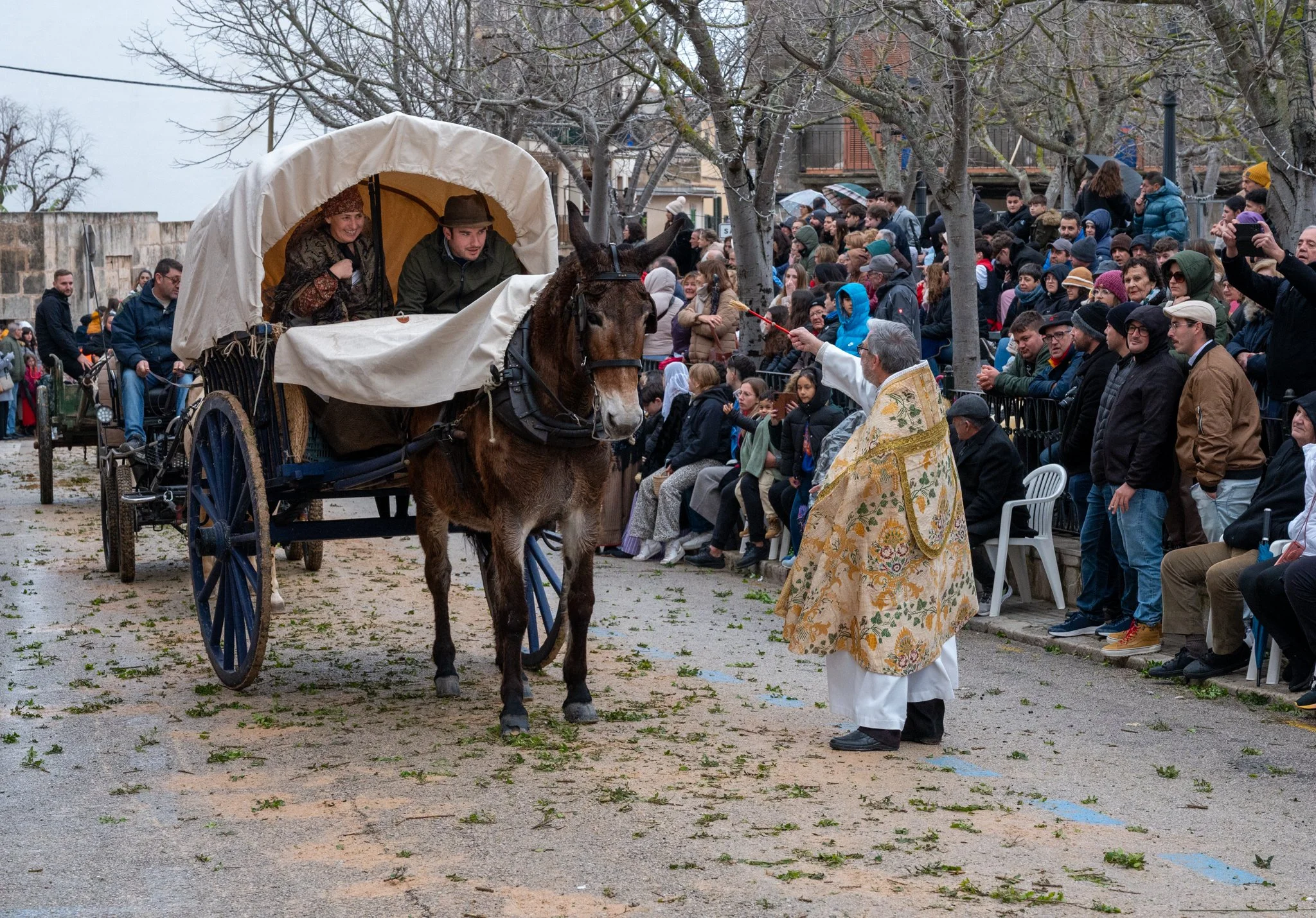 Mallorca - Sant Antoni Animal Blessing & Devils-51.jpg