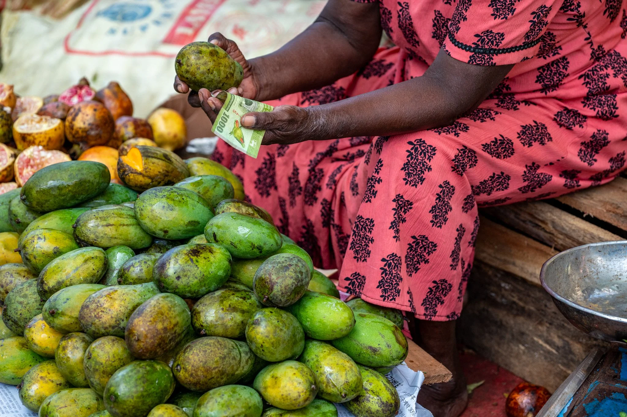 Sri Lanka_Colombo Area_copyright Buddha34-25.jpg