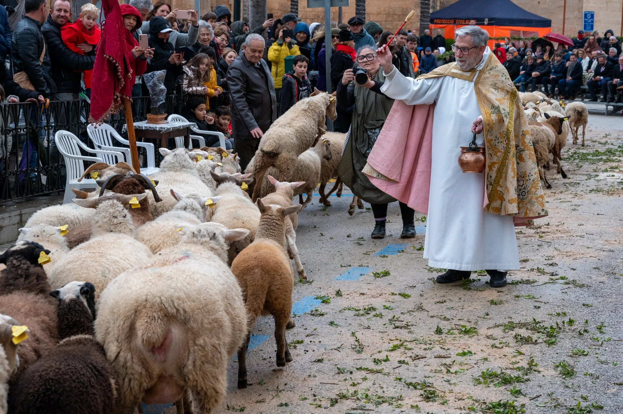 Mallorca - Sant Antoni Animal Blessing & Devils-48.jpg