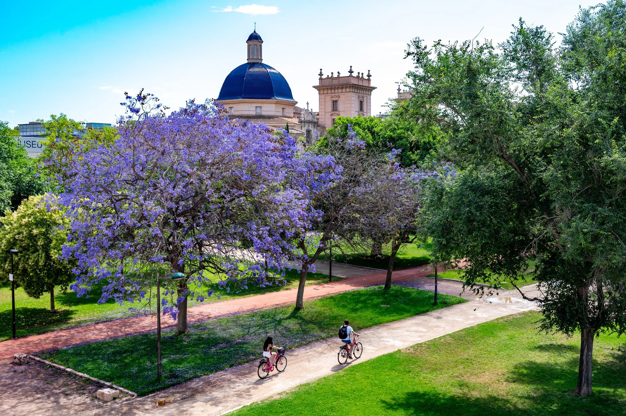 Valencia_Old Town 2026_copyright buddha34-21.jpg