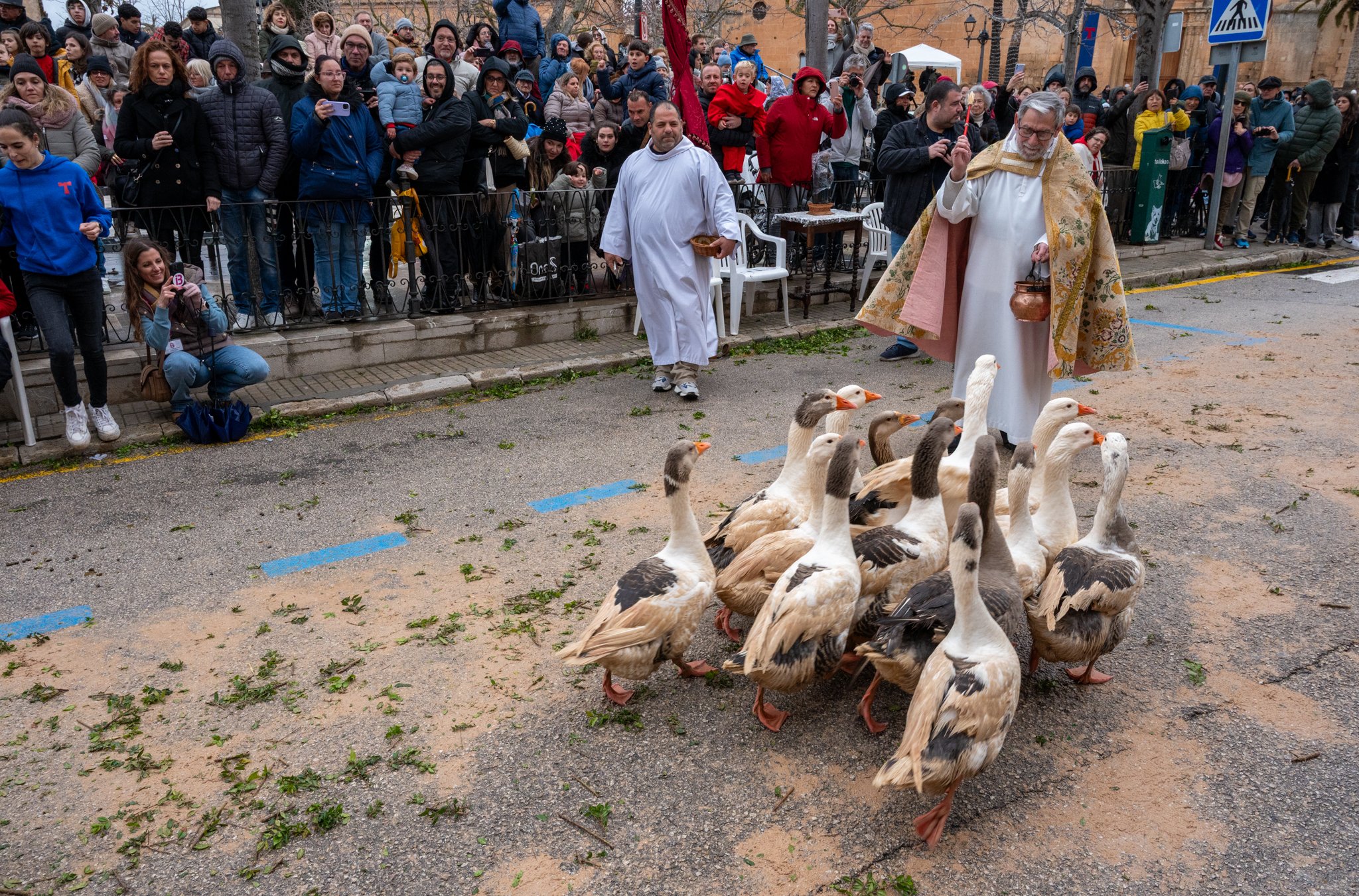 Mallorca - Sant Antoni Animal Blessing & Devils-44.jpg