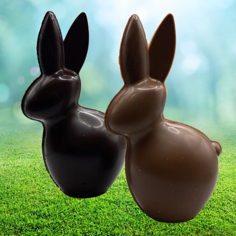 Solid+Bunny.jpg