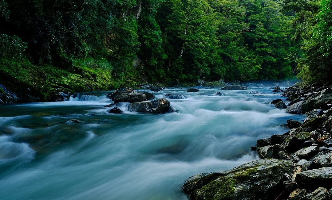 The Haast River starts on the western slopes of Mt. Aspiring National Park and twist and cuts down through beautiful scenery  meeting with the Landsborough River along the way and finally flowing into the Tasman Sea. This image is from higher up the