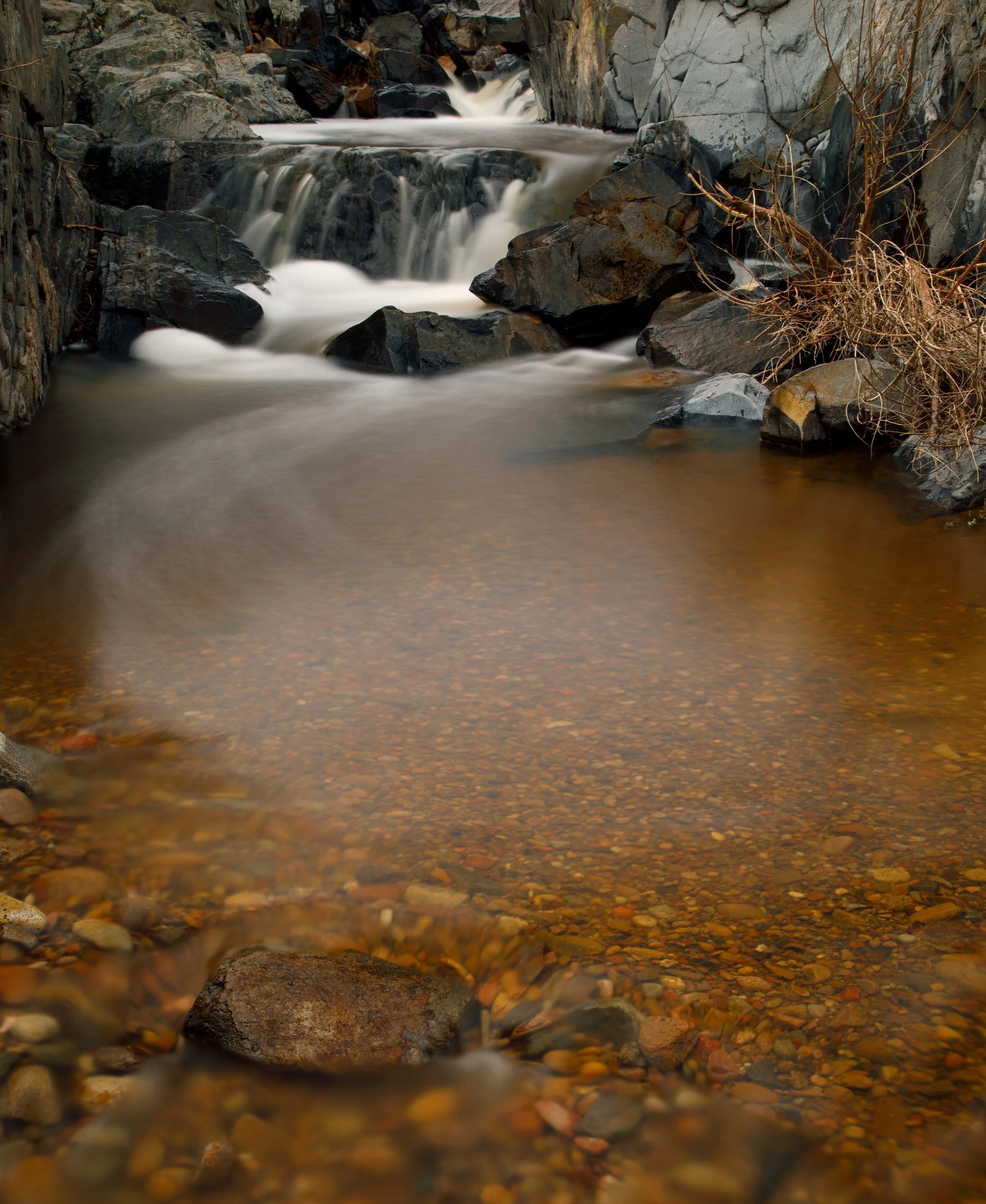 Mission Gorge #1