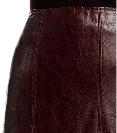 Lost and wander pleather skirt detail.PNG