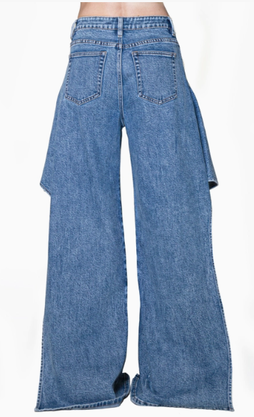 Reverse Chap Jean Rear.png