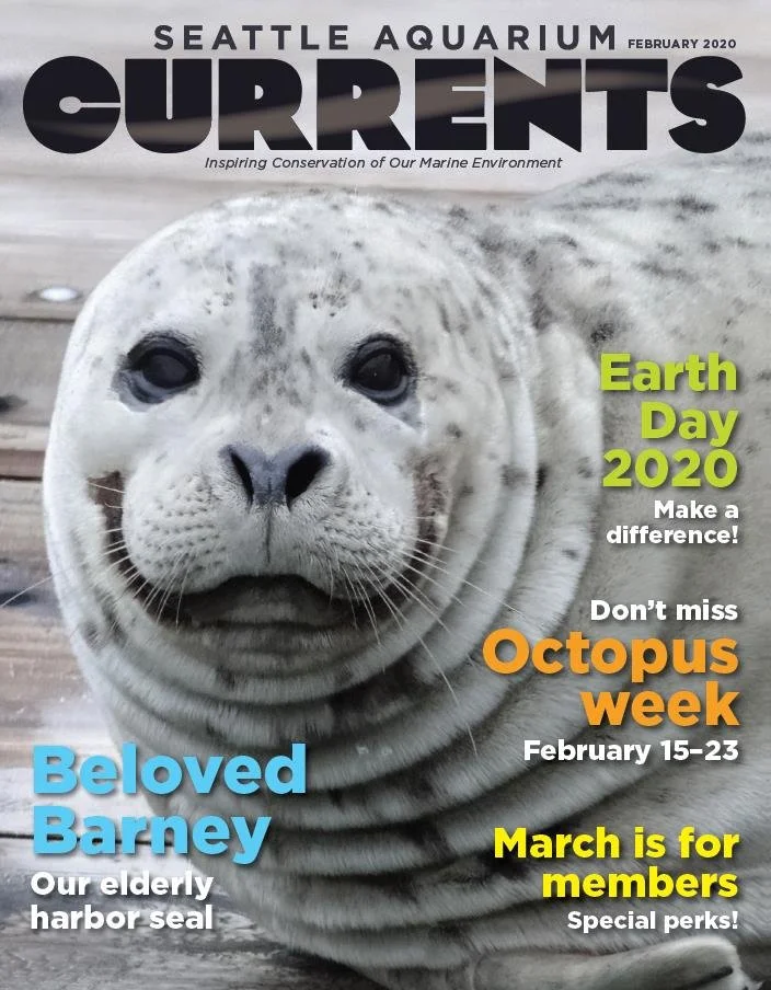 Current FEB 2020 cover screenshot.jpg