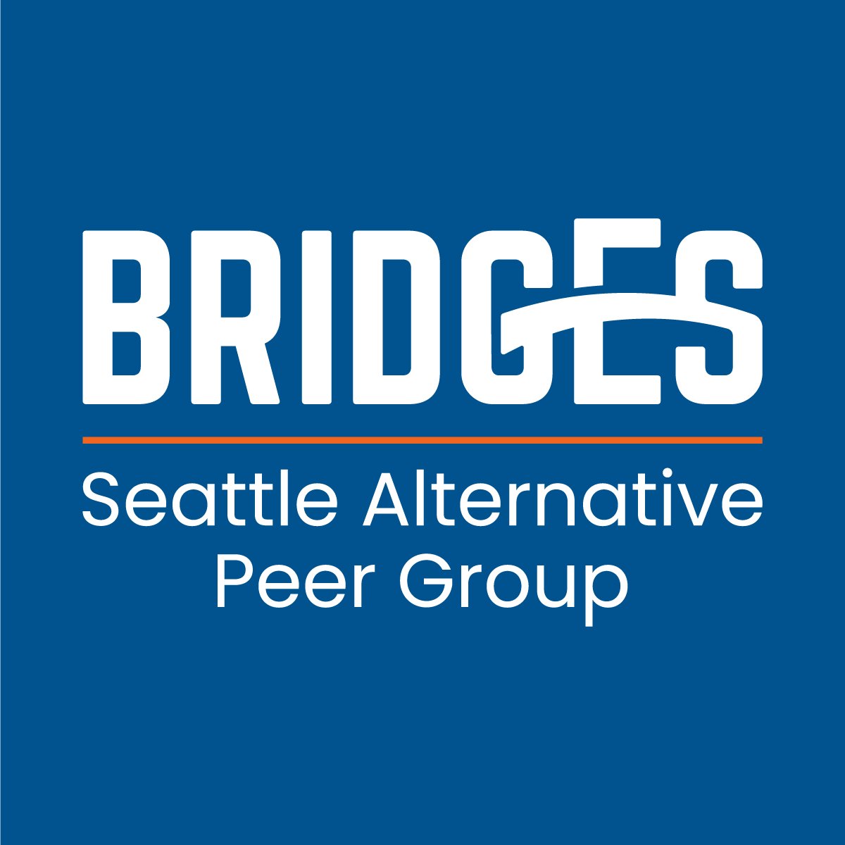 Bridges-logo-SQ3.png