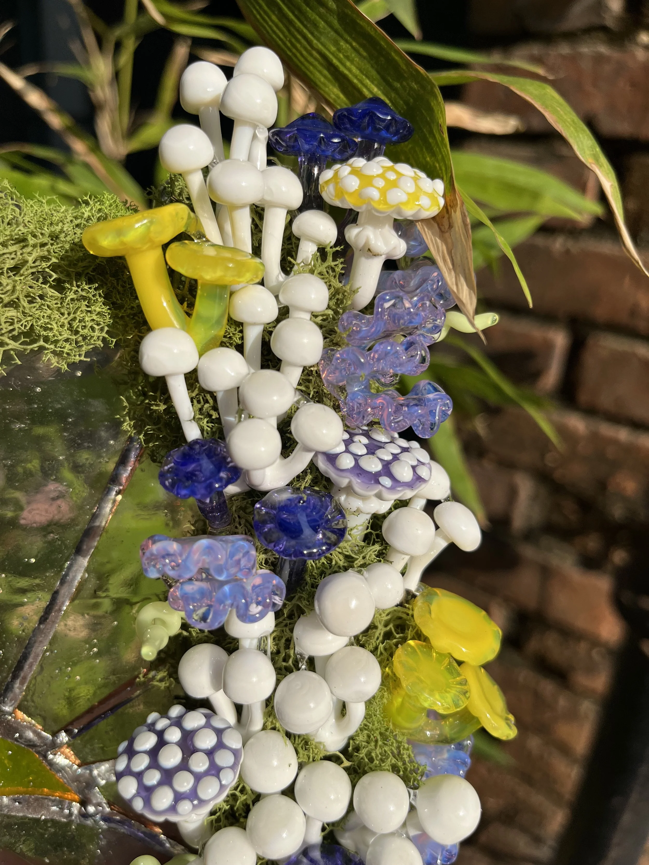 IMG_2794.jpeg