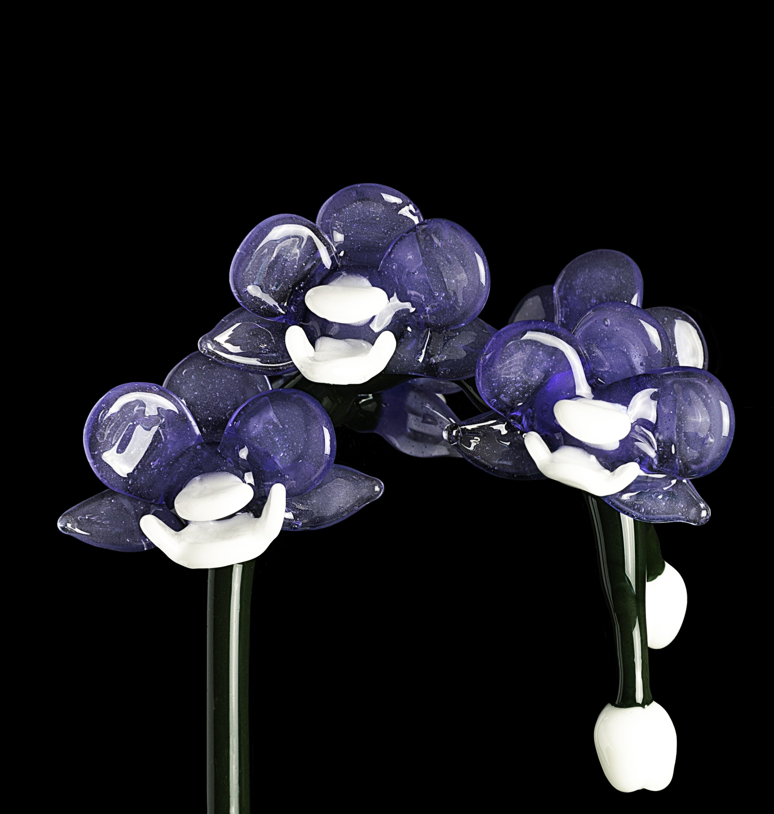 FORGETMENOT_4.jpg