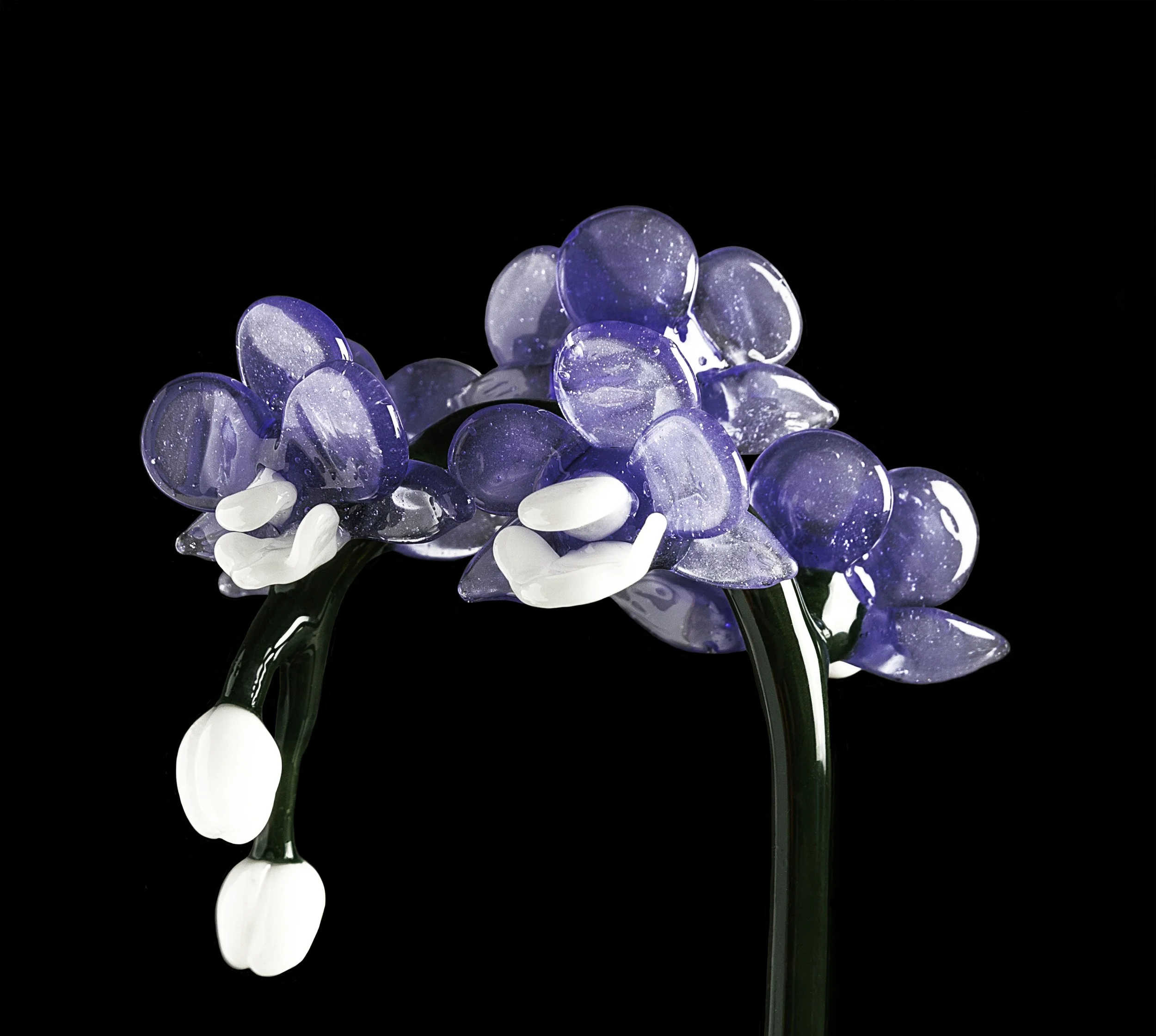 FORGETMENOT_3.jpg