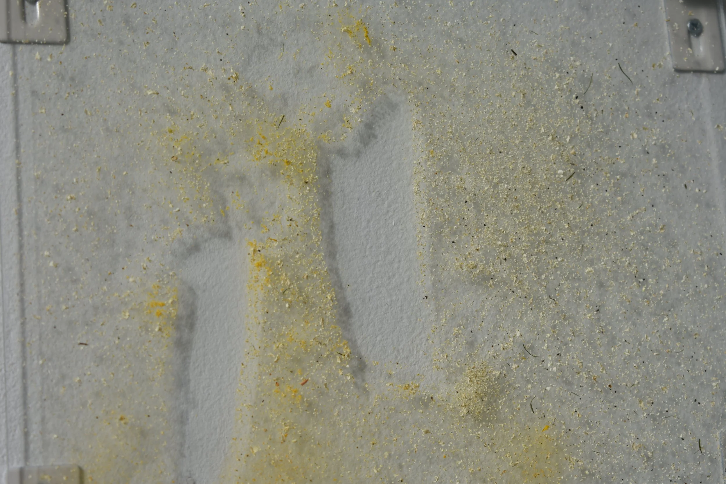 DSC_0203.jpeg