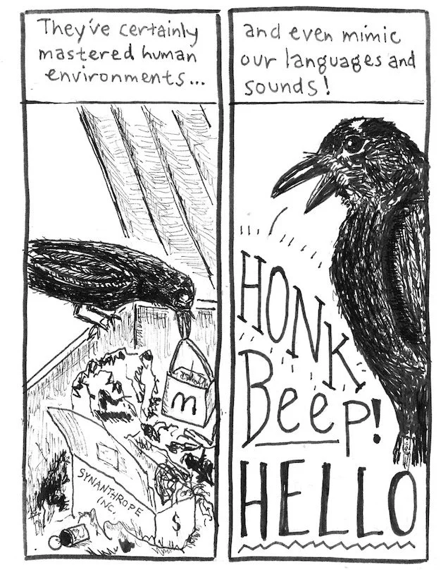 Crow comic p. 4.jpg