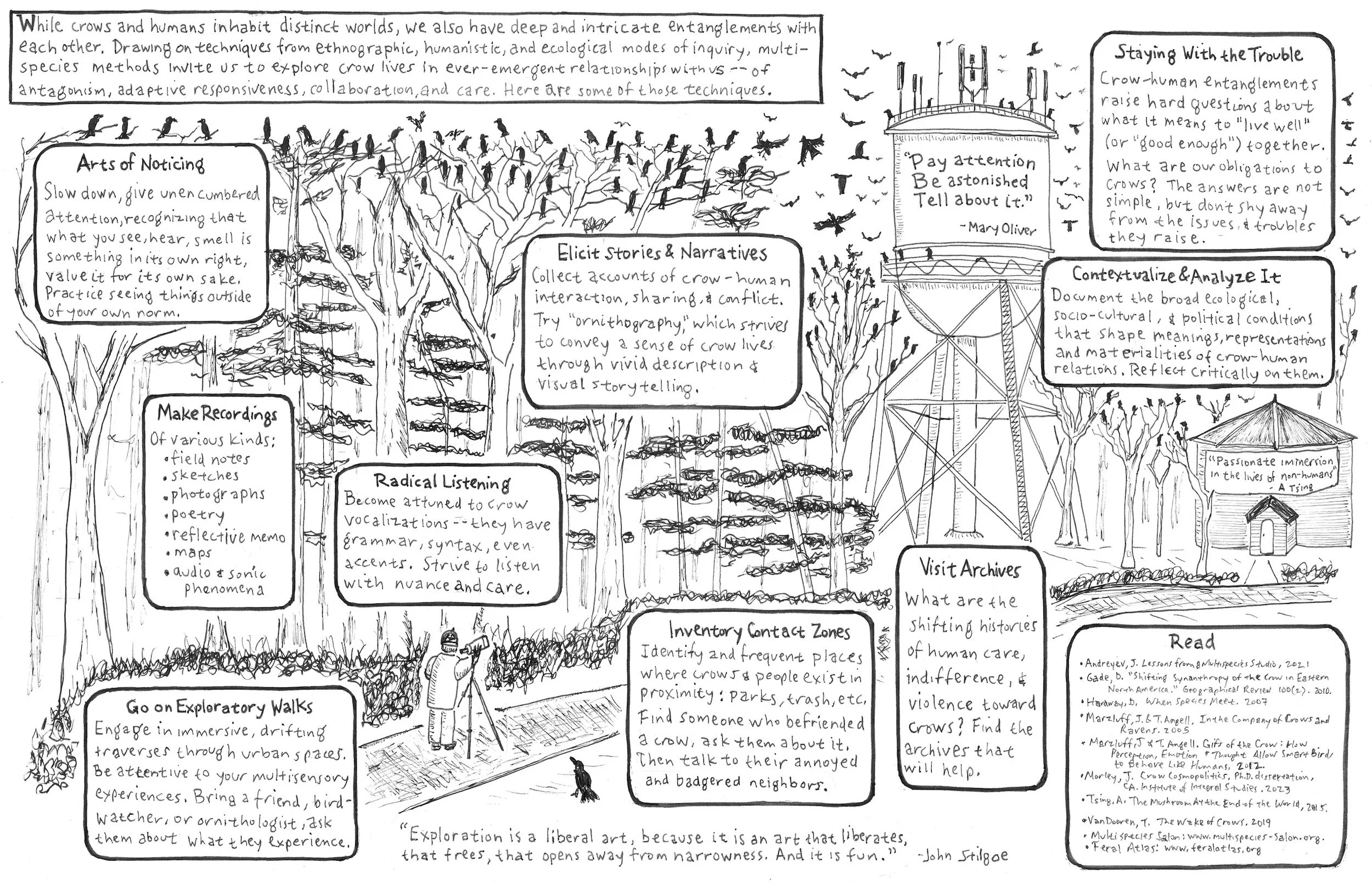 Crow inside spread.jpg