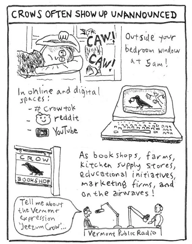 Crow comic 2 p. 7.jpeg