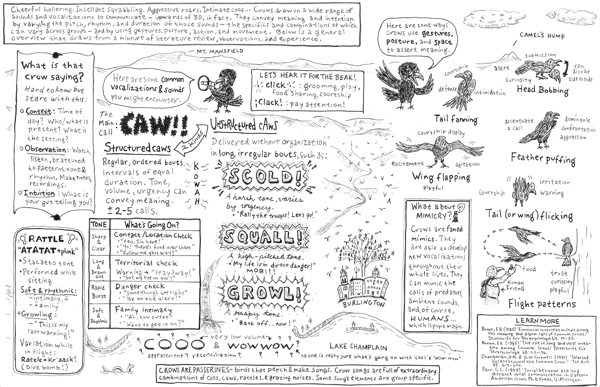 Crow 3 big spread.jpg