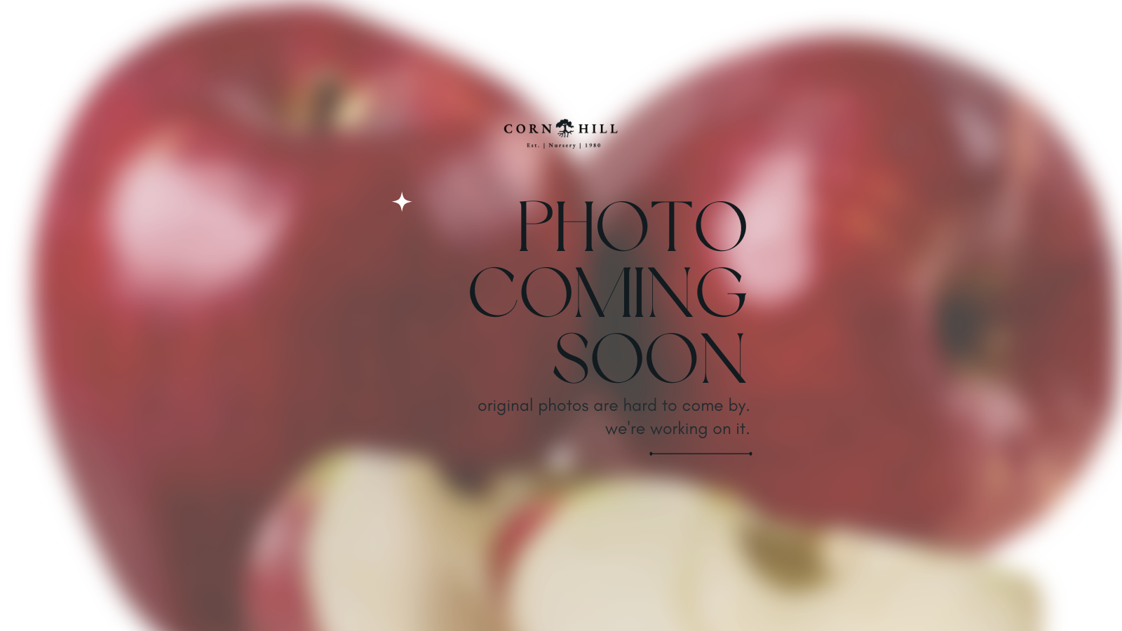Copy of Cream Elegant Minimalist Clean Coming Soon Hijab Product Instagram Post Portrait (11).png
