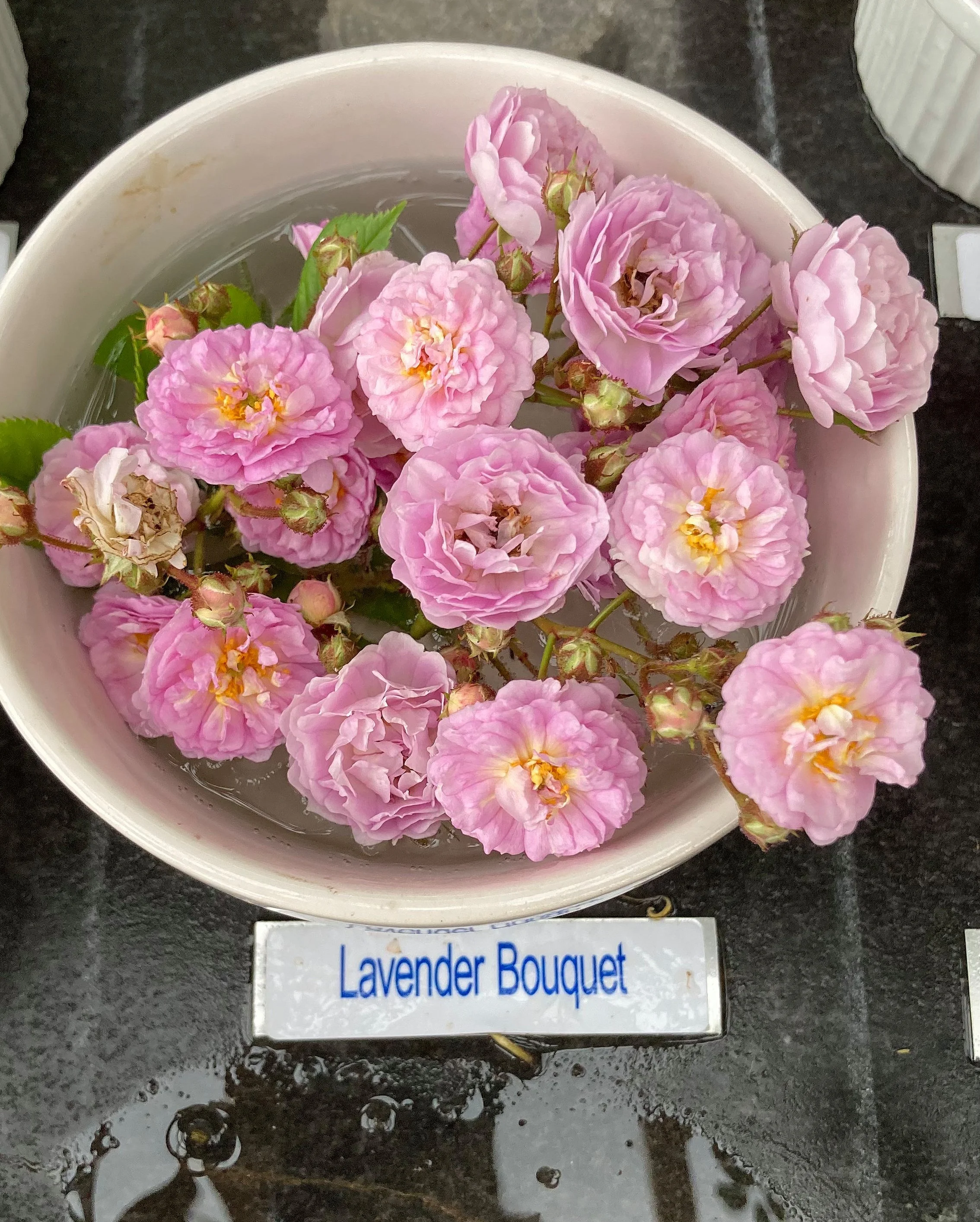 lavender+bouquet.jpg