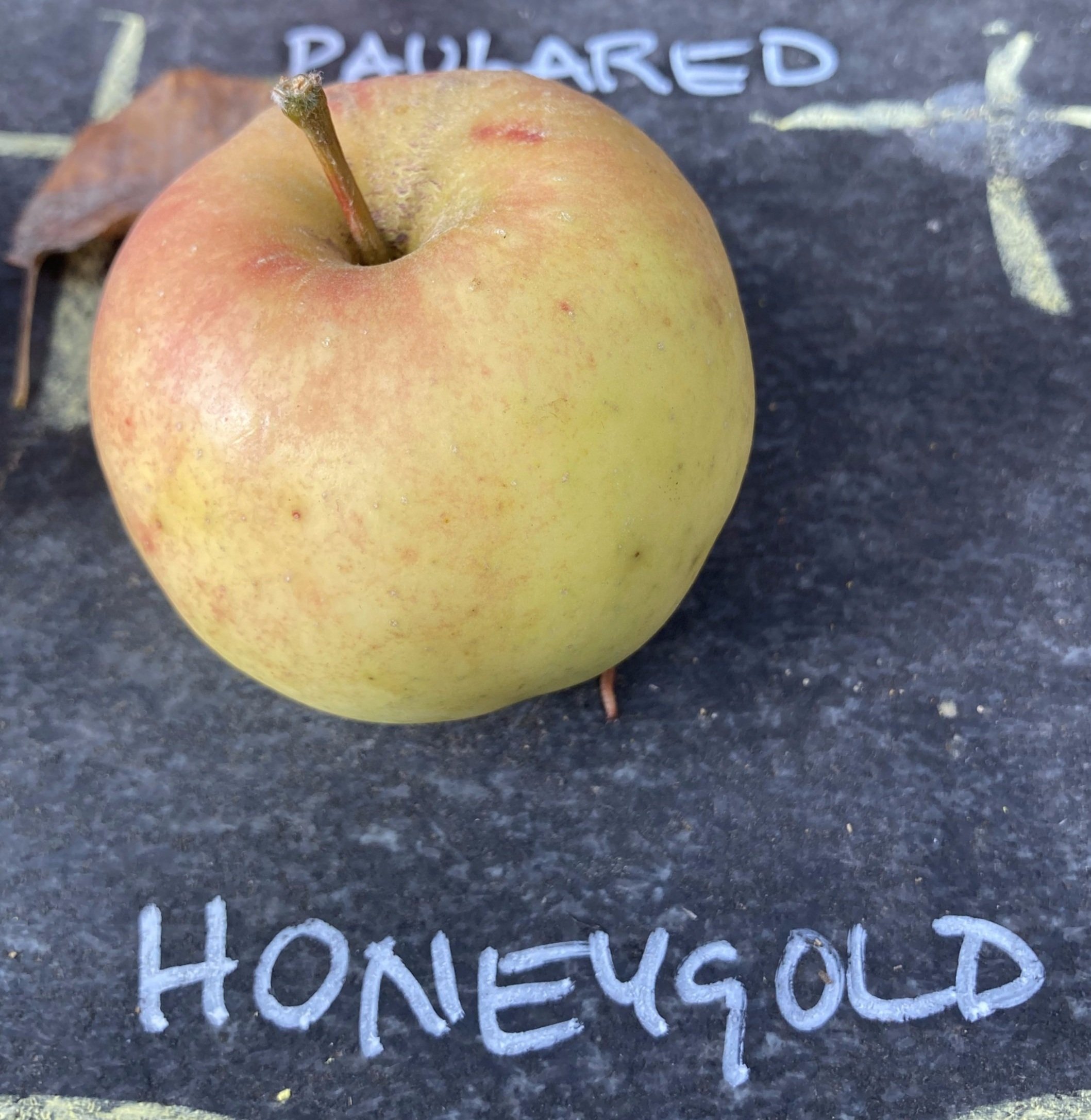 honeygold.jpg