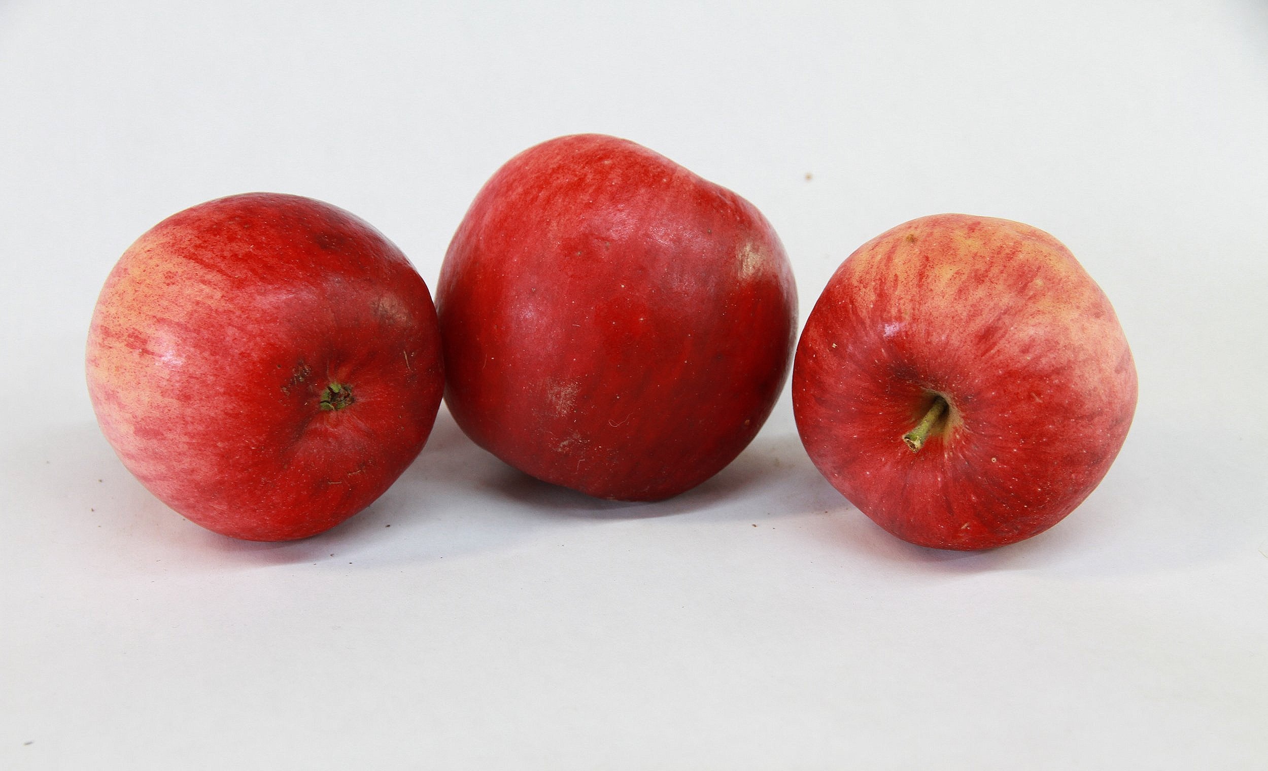 Redfree+%284%29.jpg