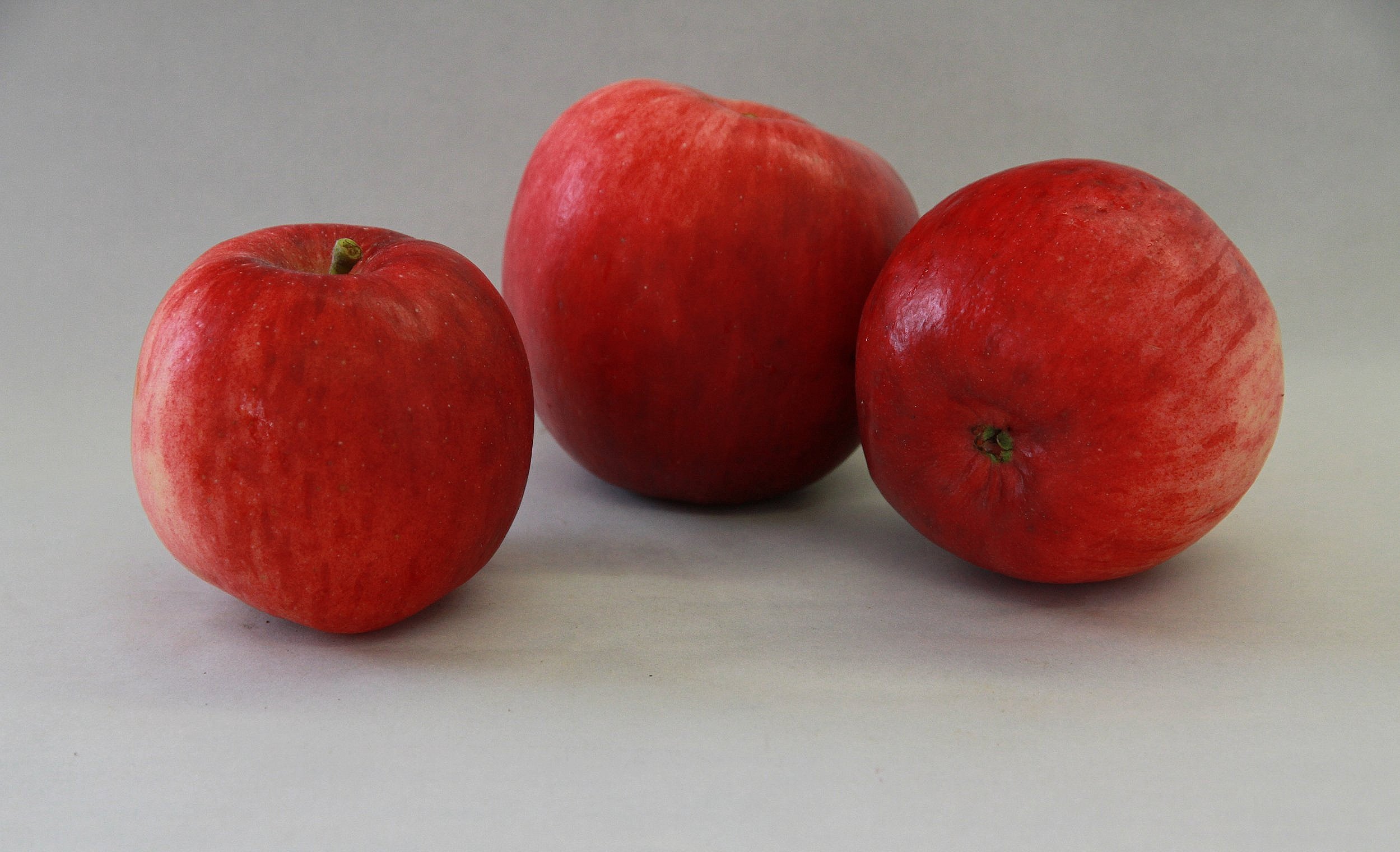 Redfree+%285%29.jpg