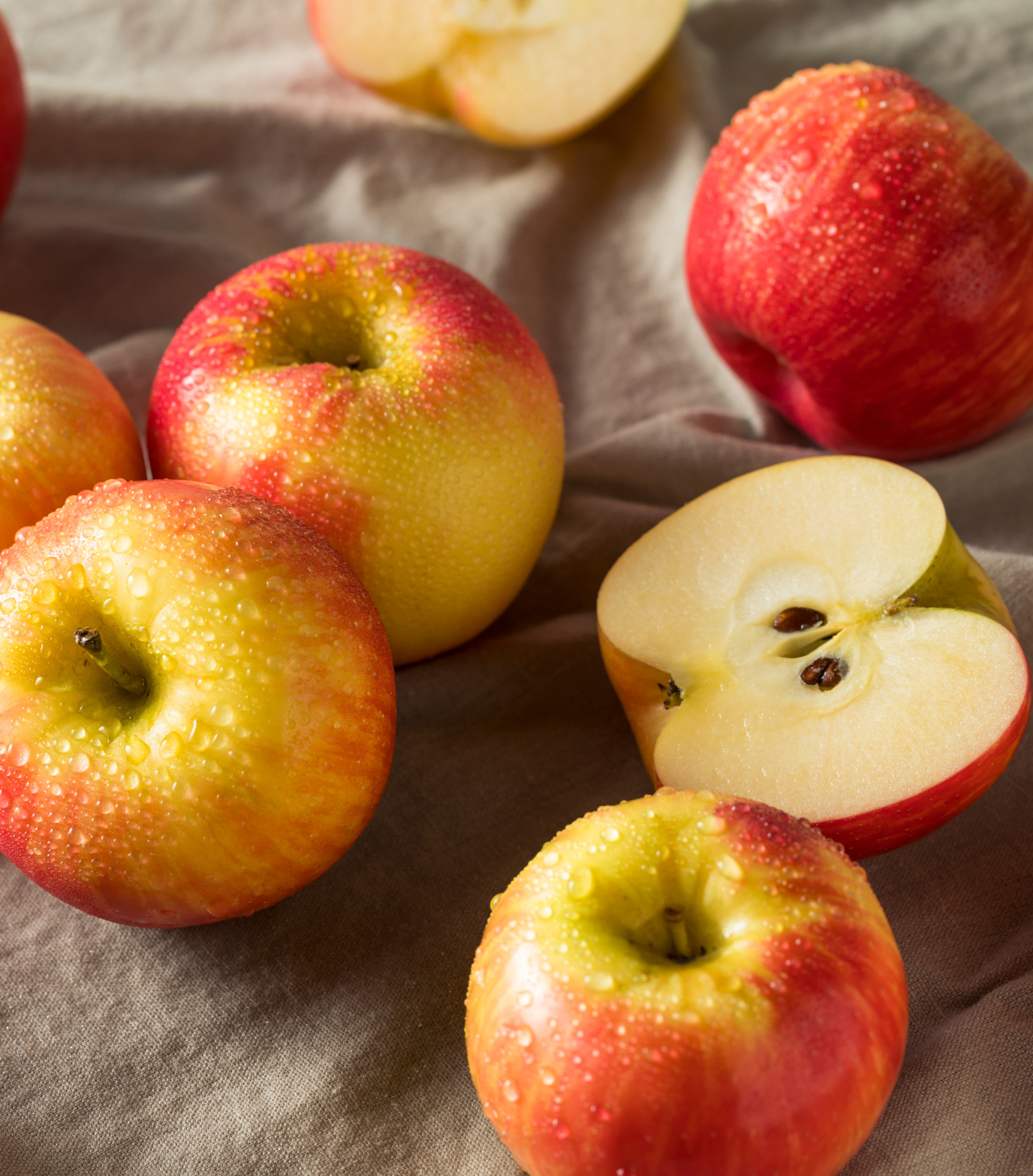 honeycrisp (2).png