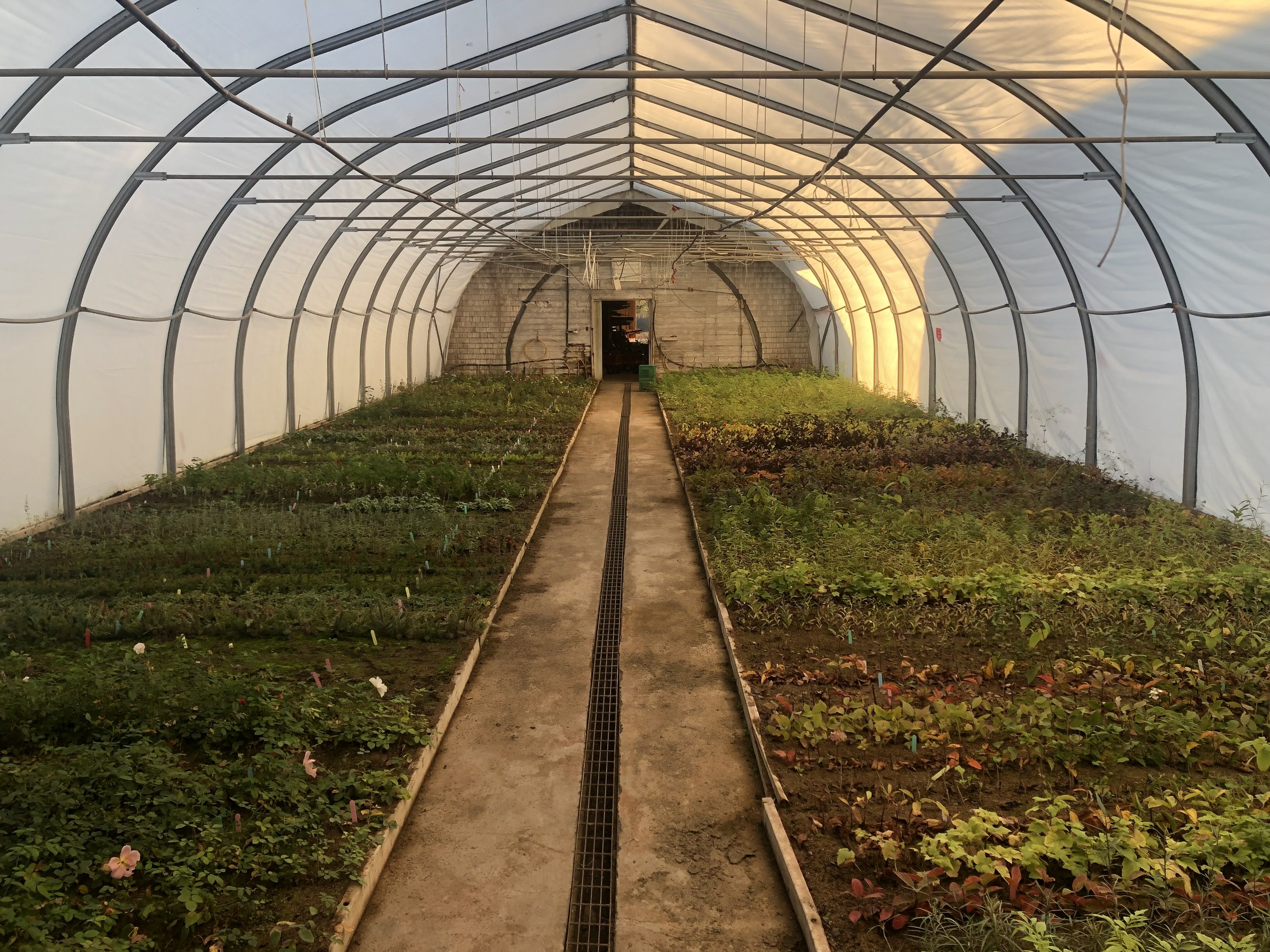 Propagating from Cuttings Seminar