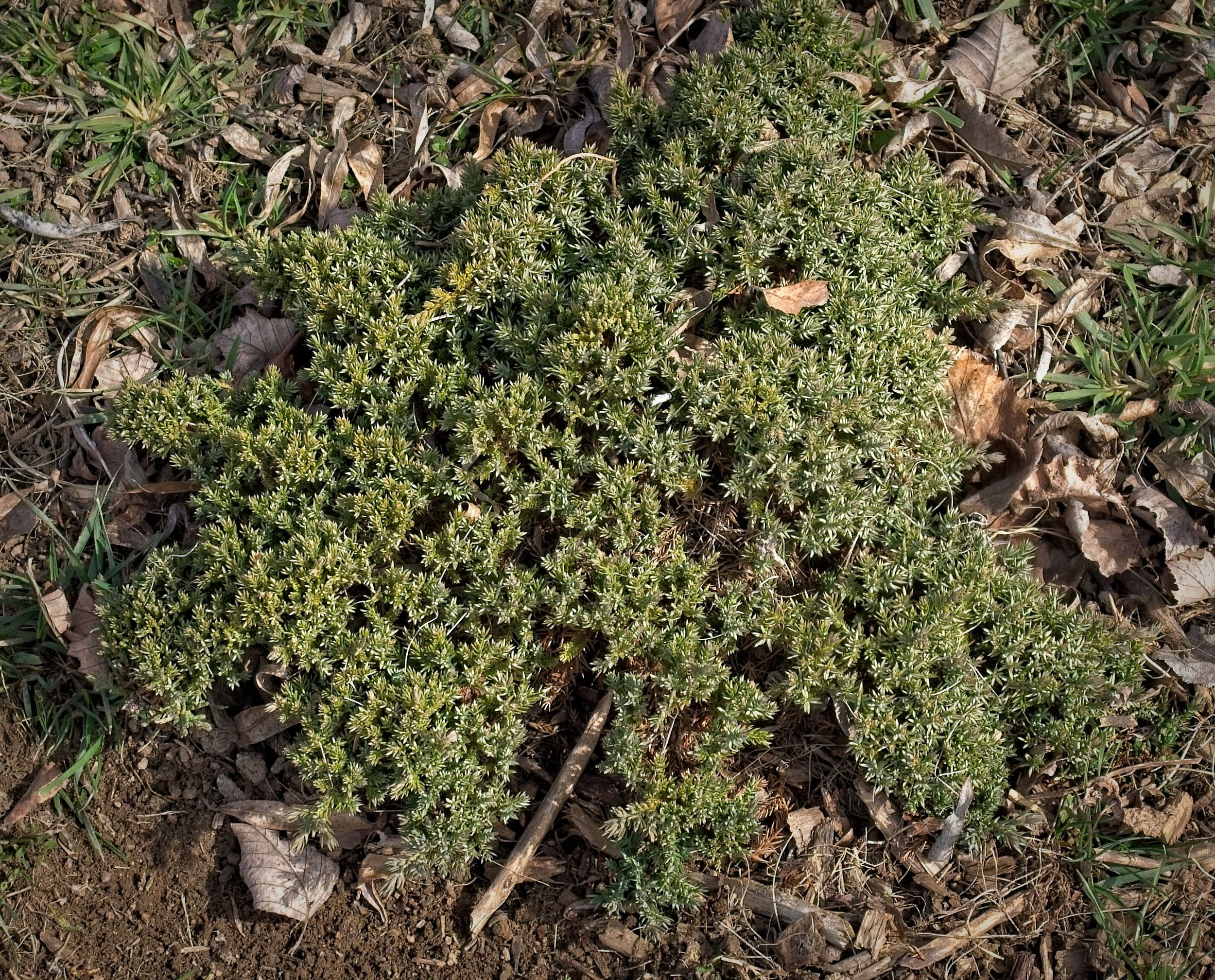 51033069642_d583d207d7_o.jpg