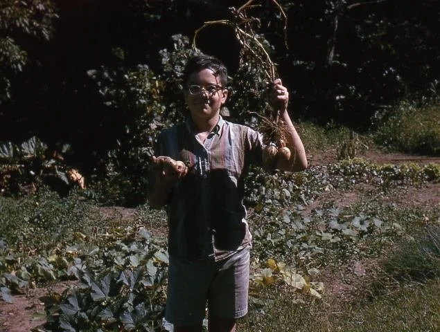 About Us — Corn Hill Nursery