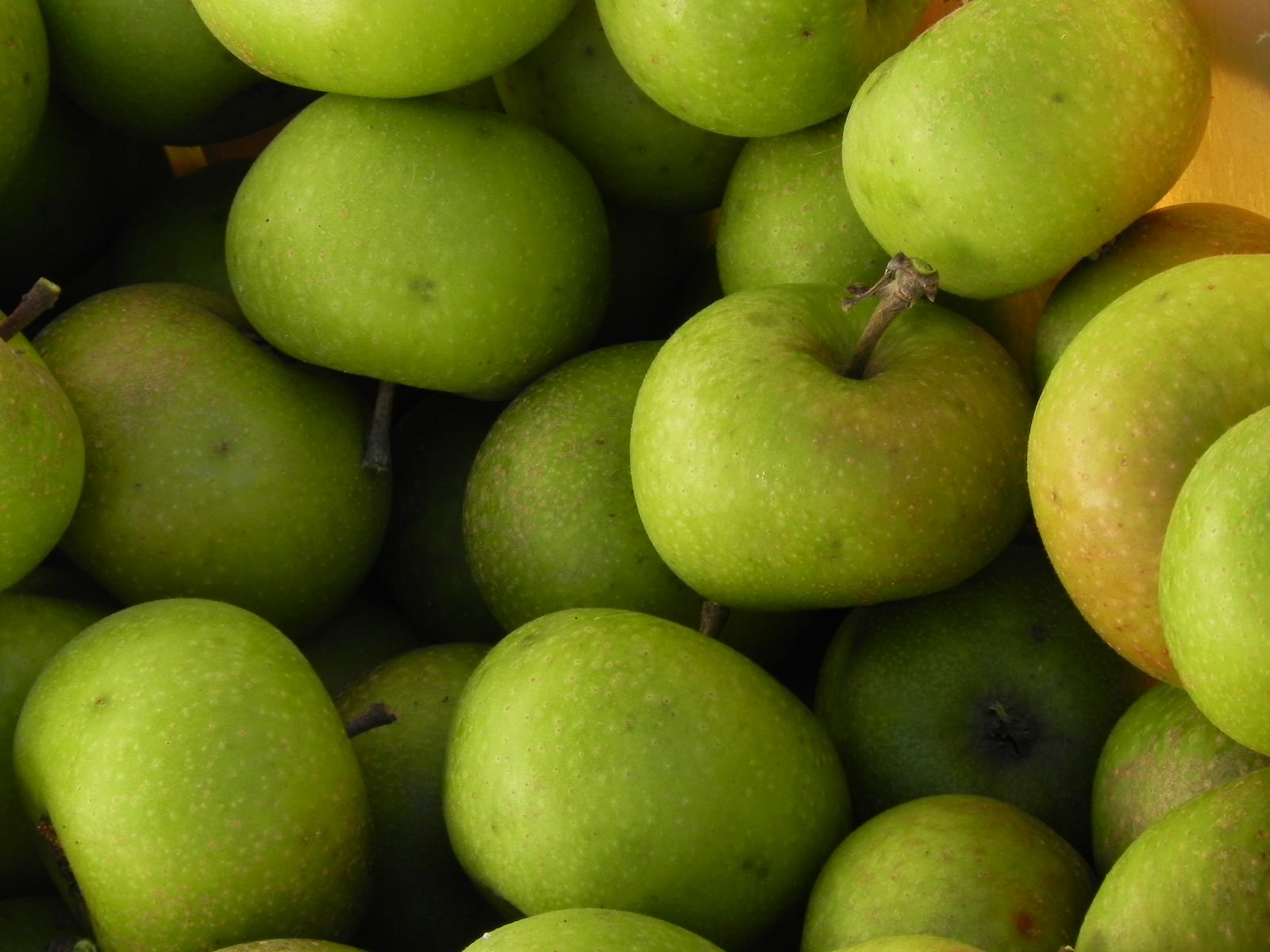 Mann Apple