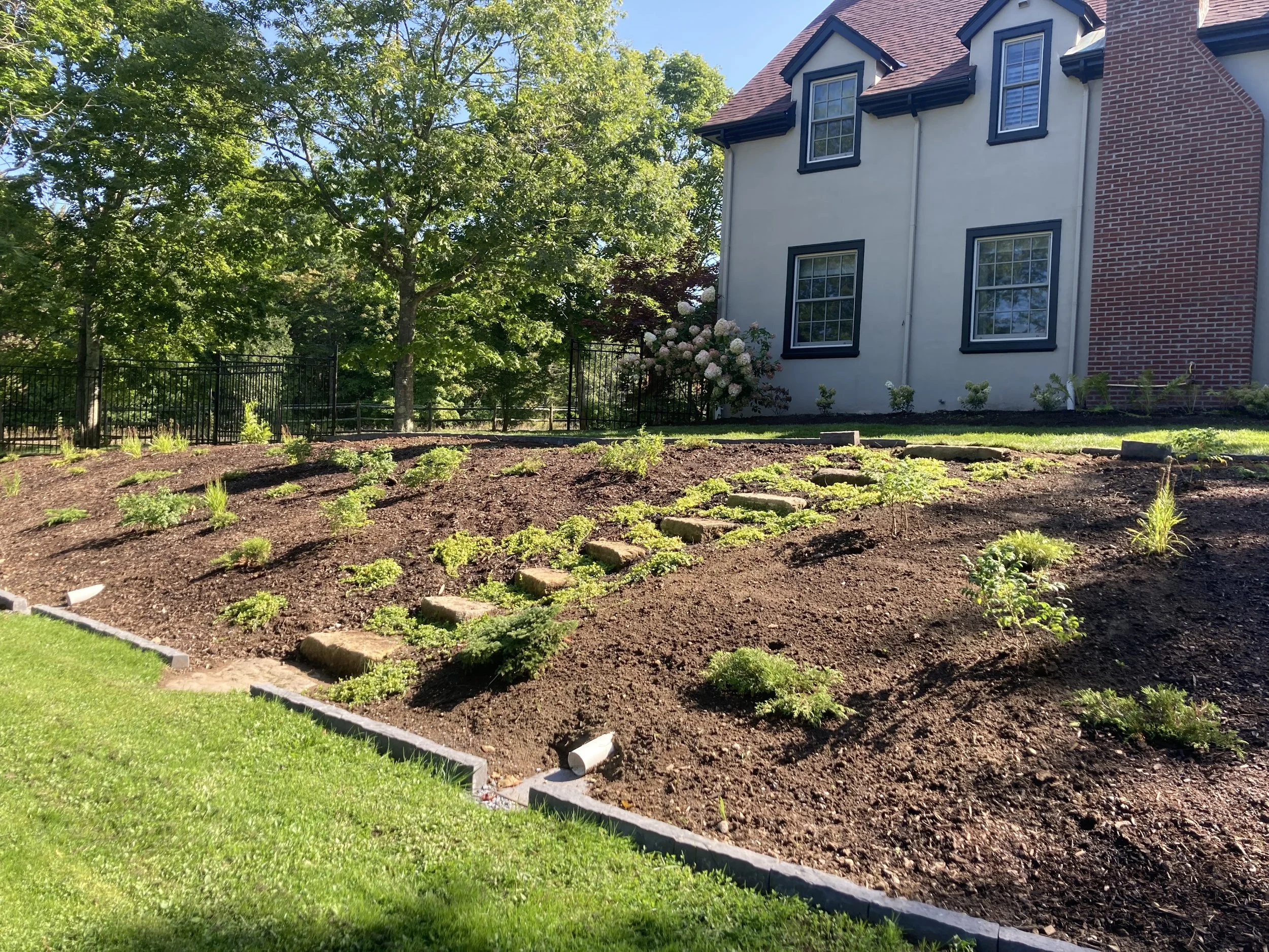 6-north slope with rustic steps.JPG