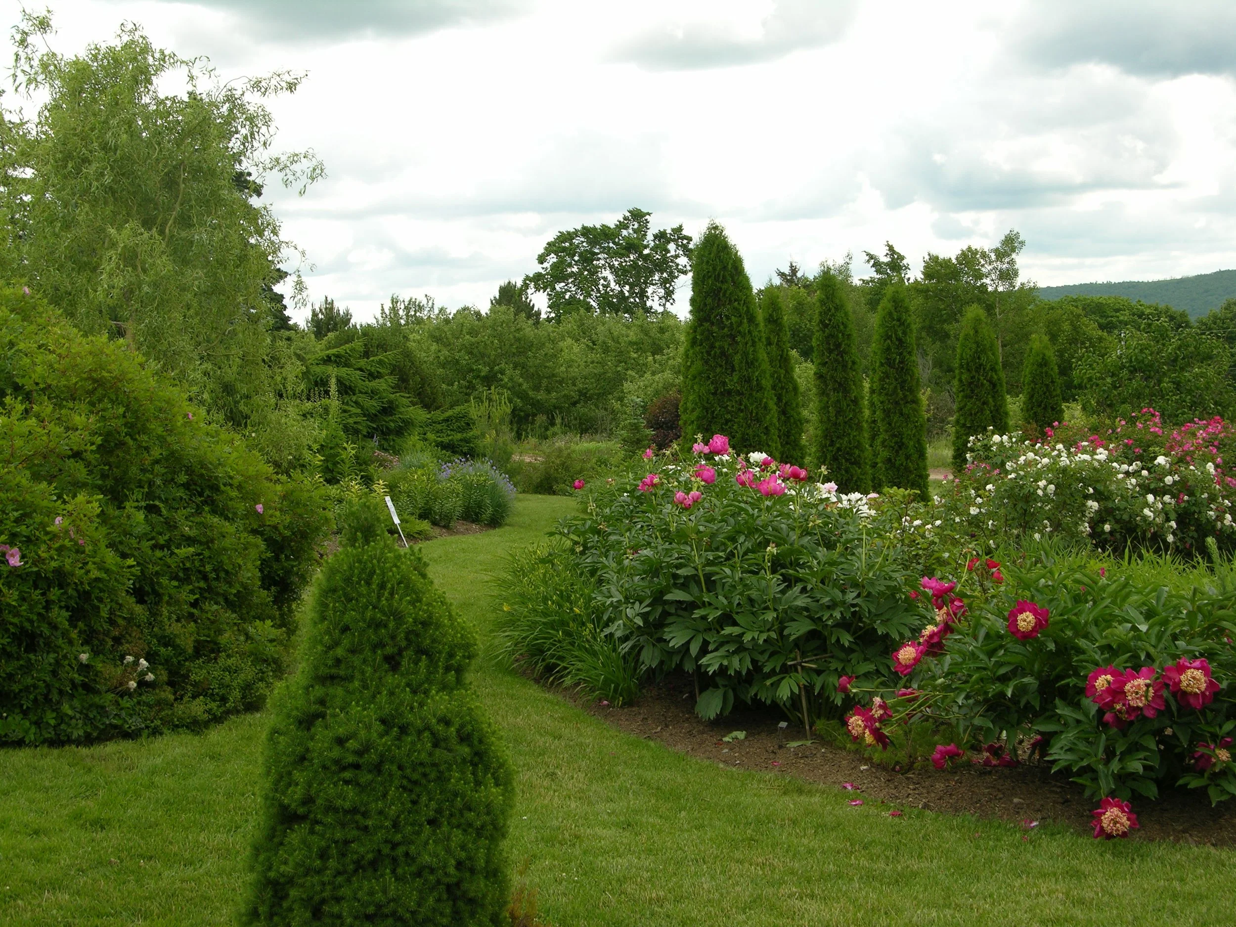 A landscaped garden with green grass, various bushes, and pink, white, and purple flowers, lined with tall, narrow trees under a cloudy sky.