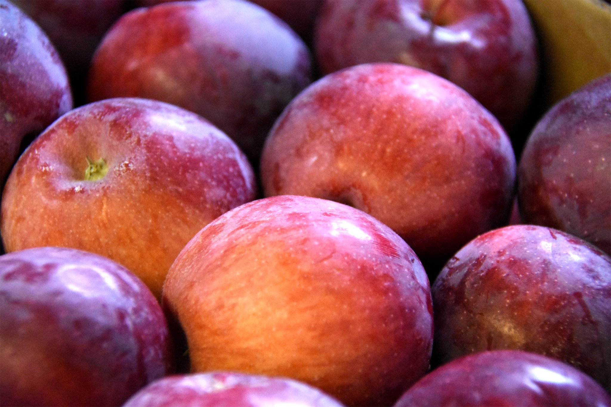 Empire Apple