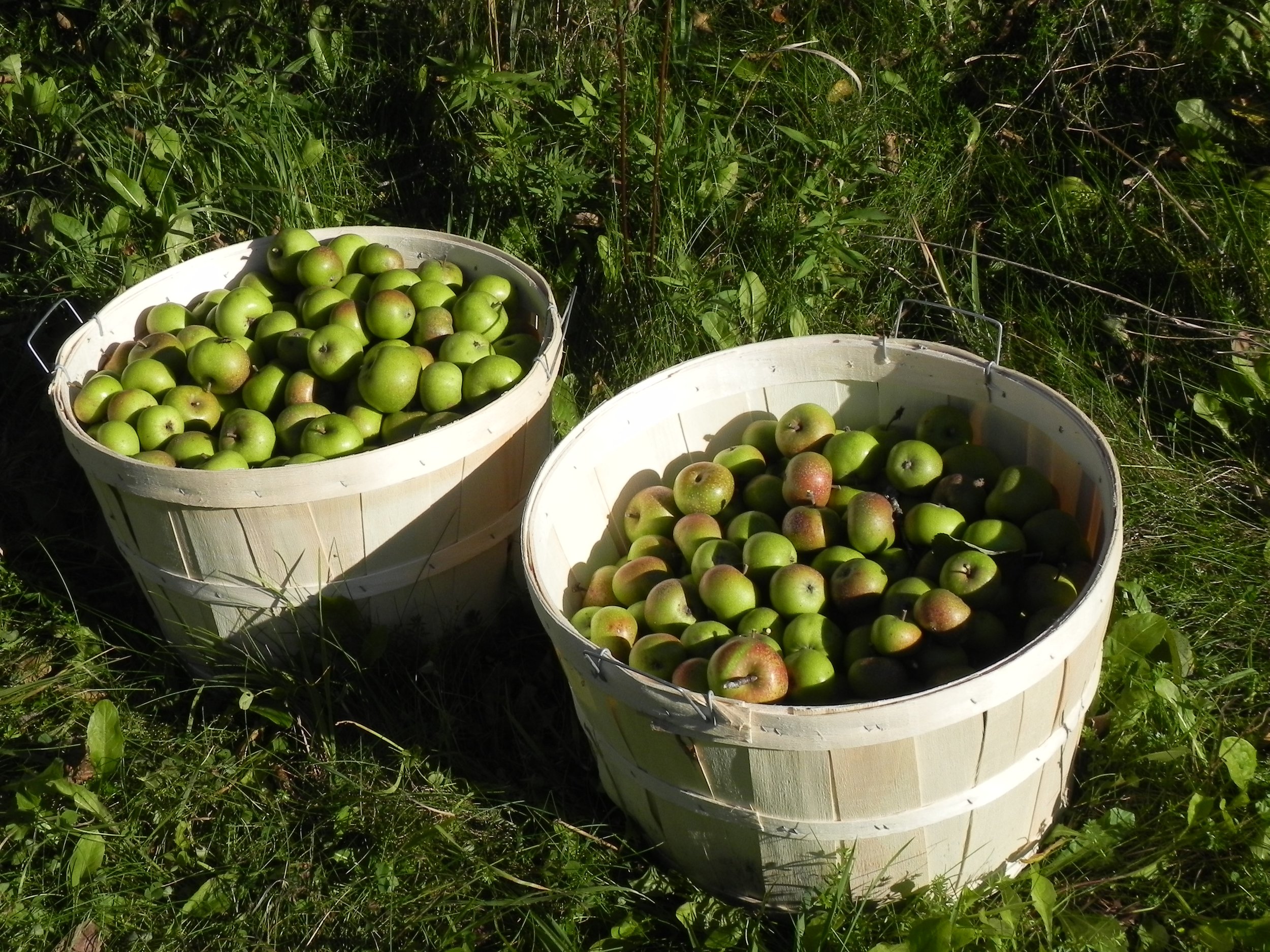 Mann in baskets.jpg