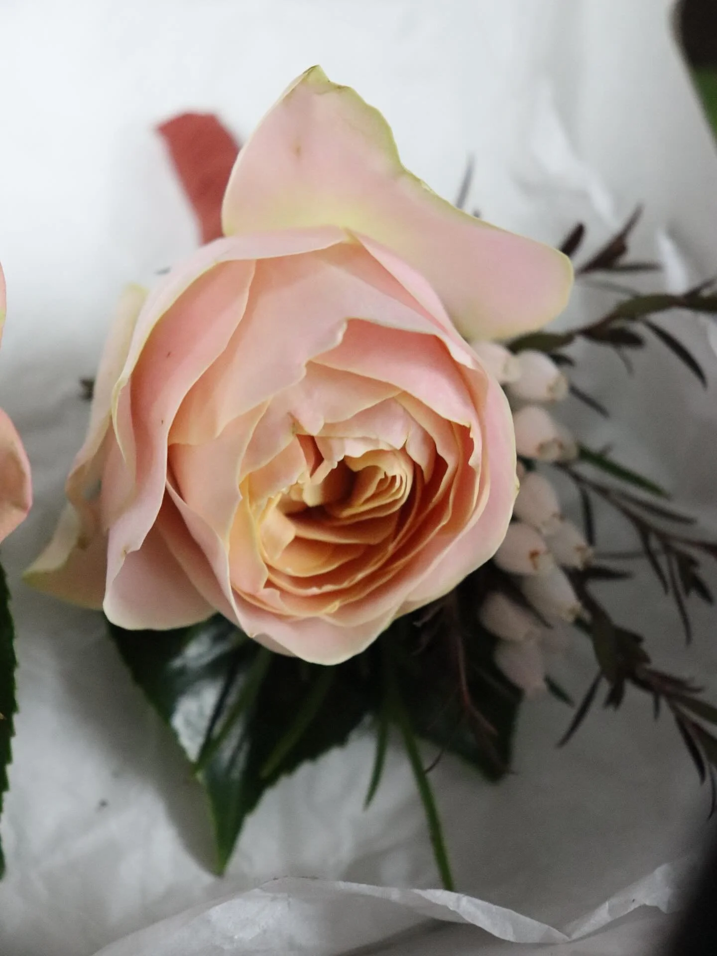 Dreamy buttonholes and corsages for Sarah &amp; Ray&rsquo;s dreamy day 🌸🤍

We love creating wedding party florals that are as unique and special as our beautiful couples!

#wedding #weddingflorist #melbourneweddingflorist #weddingflowers #weddingst