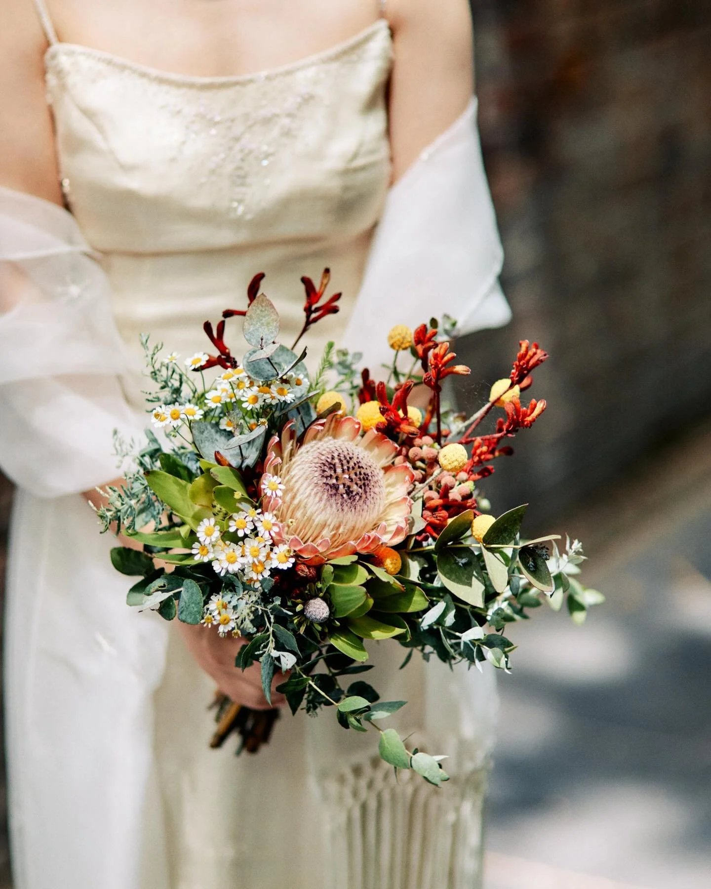 Beautiful natives for Amanda &amp; Jon&rsquo;s intimate courthouse wedding 🤍

We LOVE being a part of your special day, no matter how big or small!

Planning a wedding? Get in touch today to learn how we can make all your floral dreams come true&hel