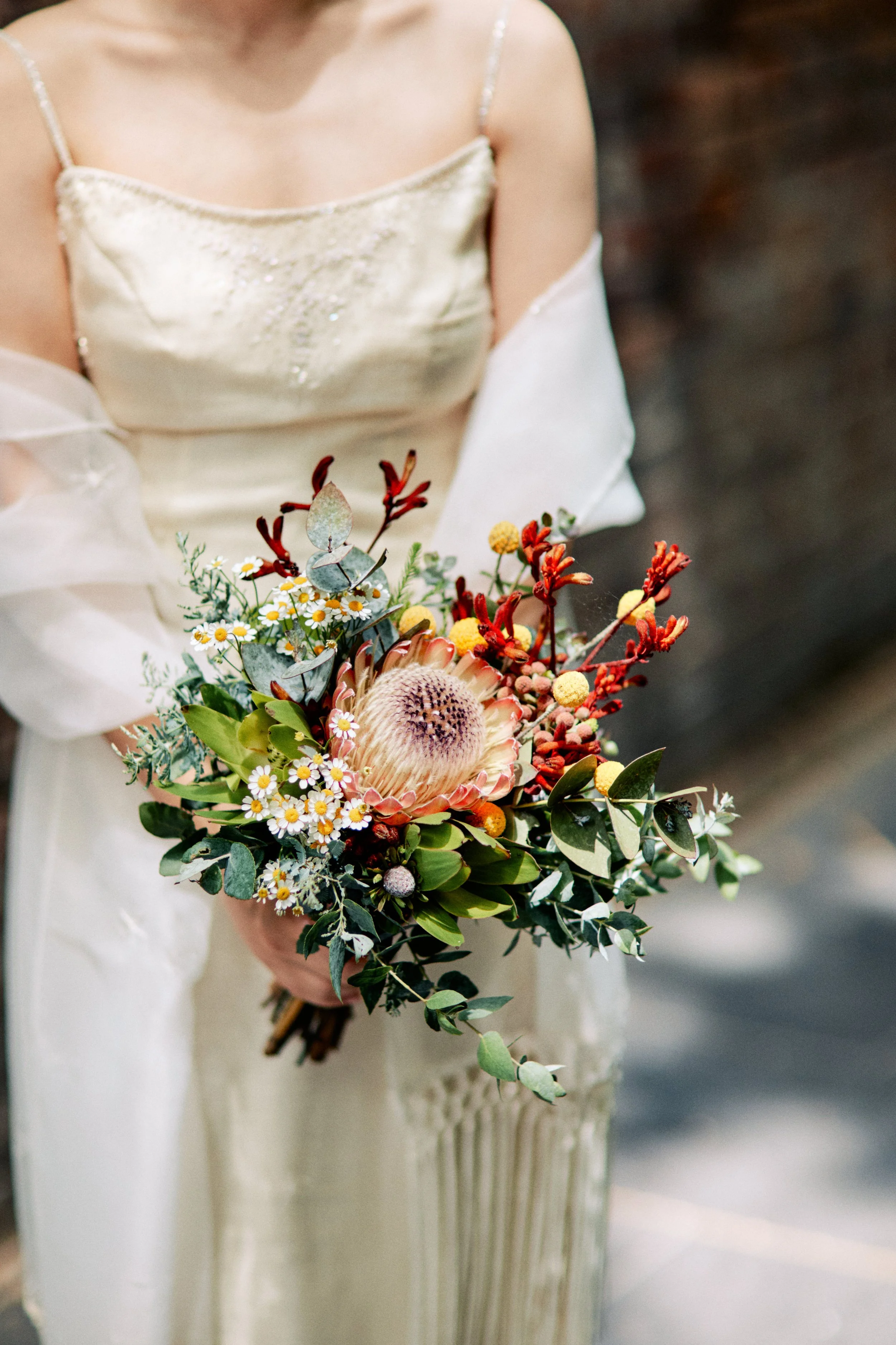 2024 Amanda Jon ROM 0165.JPG